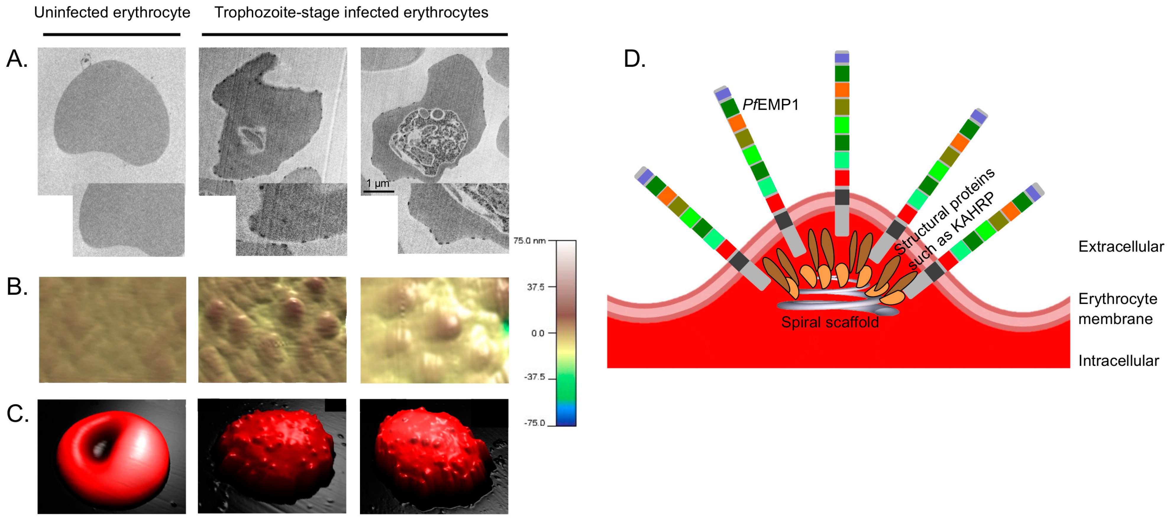 Microorganisms 10 02356 g002