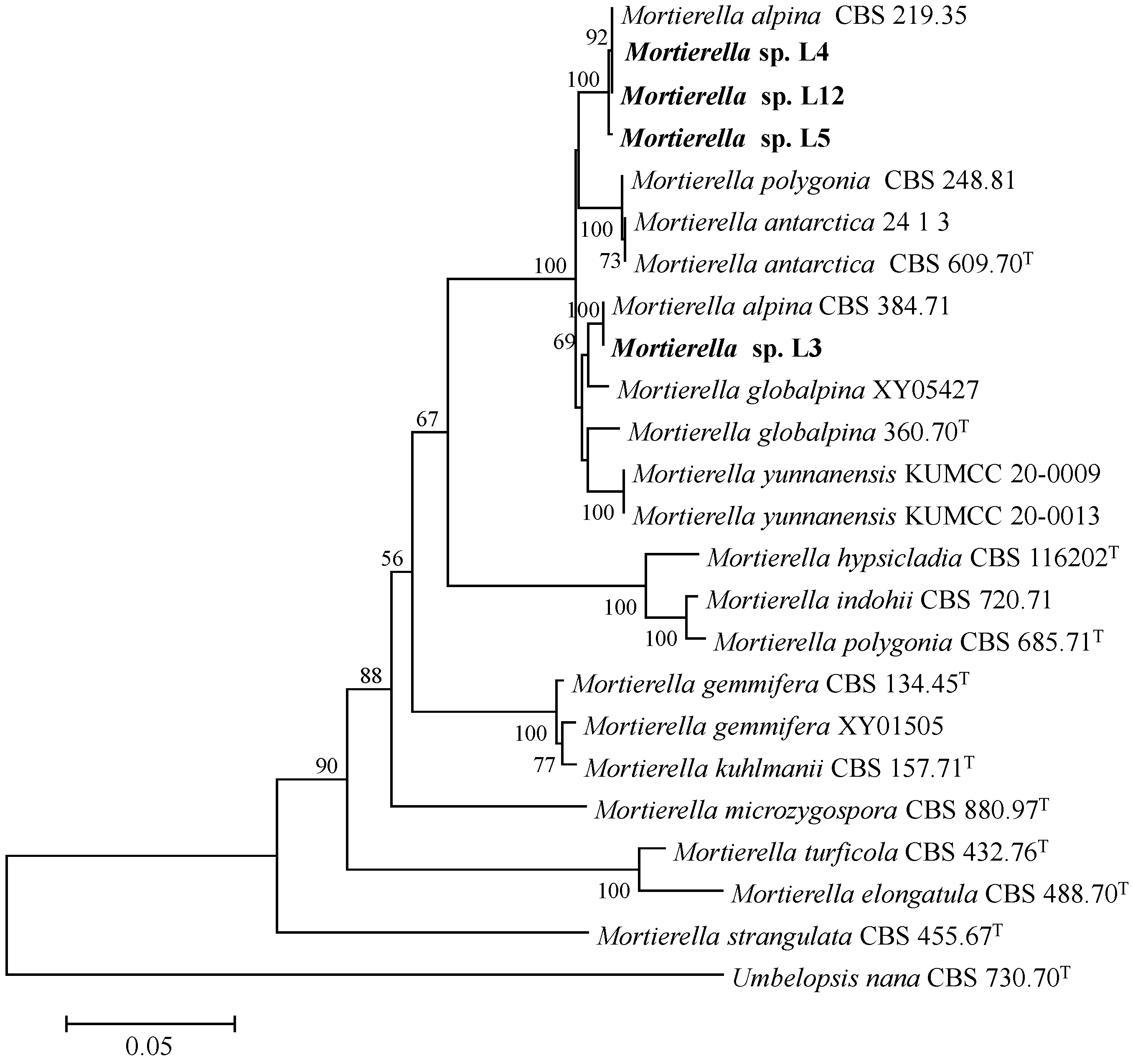 Microorganisms 10 02361 g001 Microorganisms 10 02361 g001