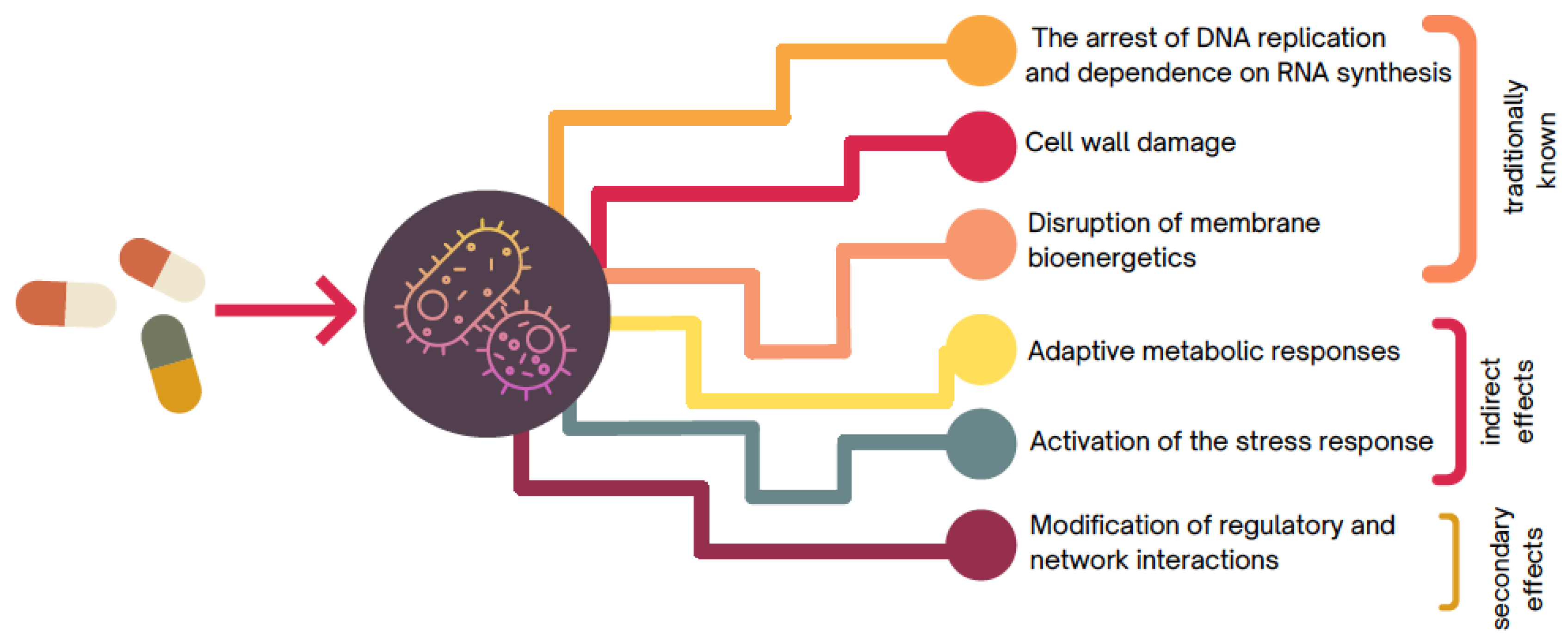 Microorganisms 10 02362 g002