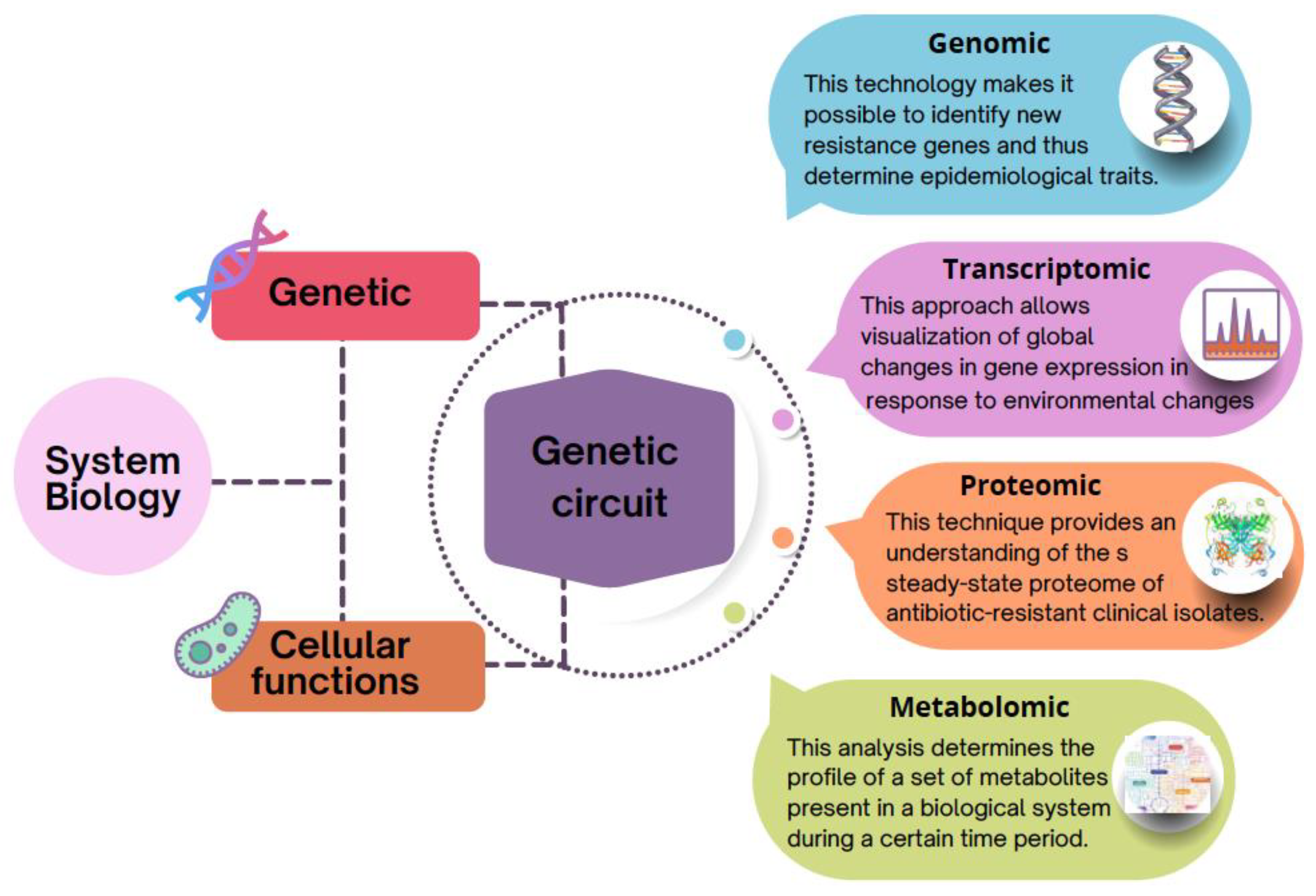 Microorganisms 10 02362 g003