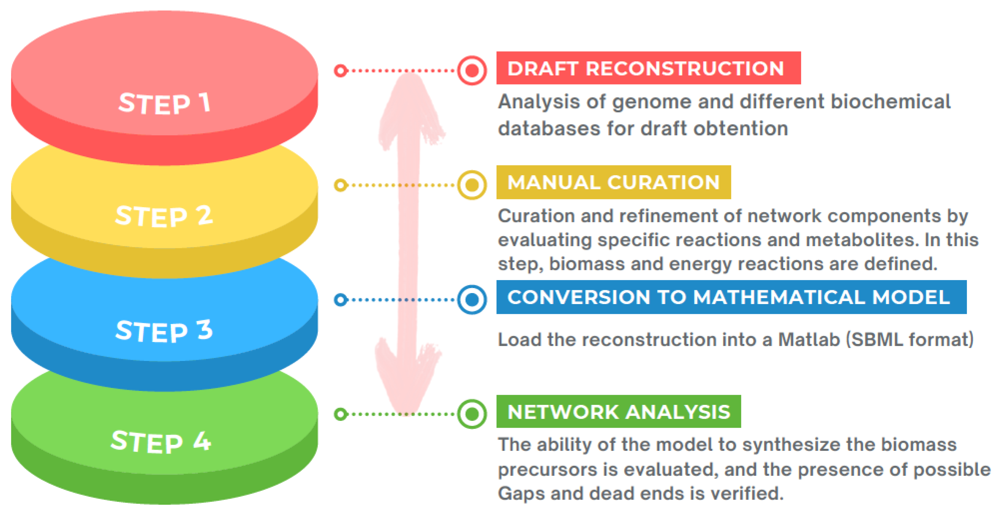 Microorganisms 10 02362 g005