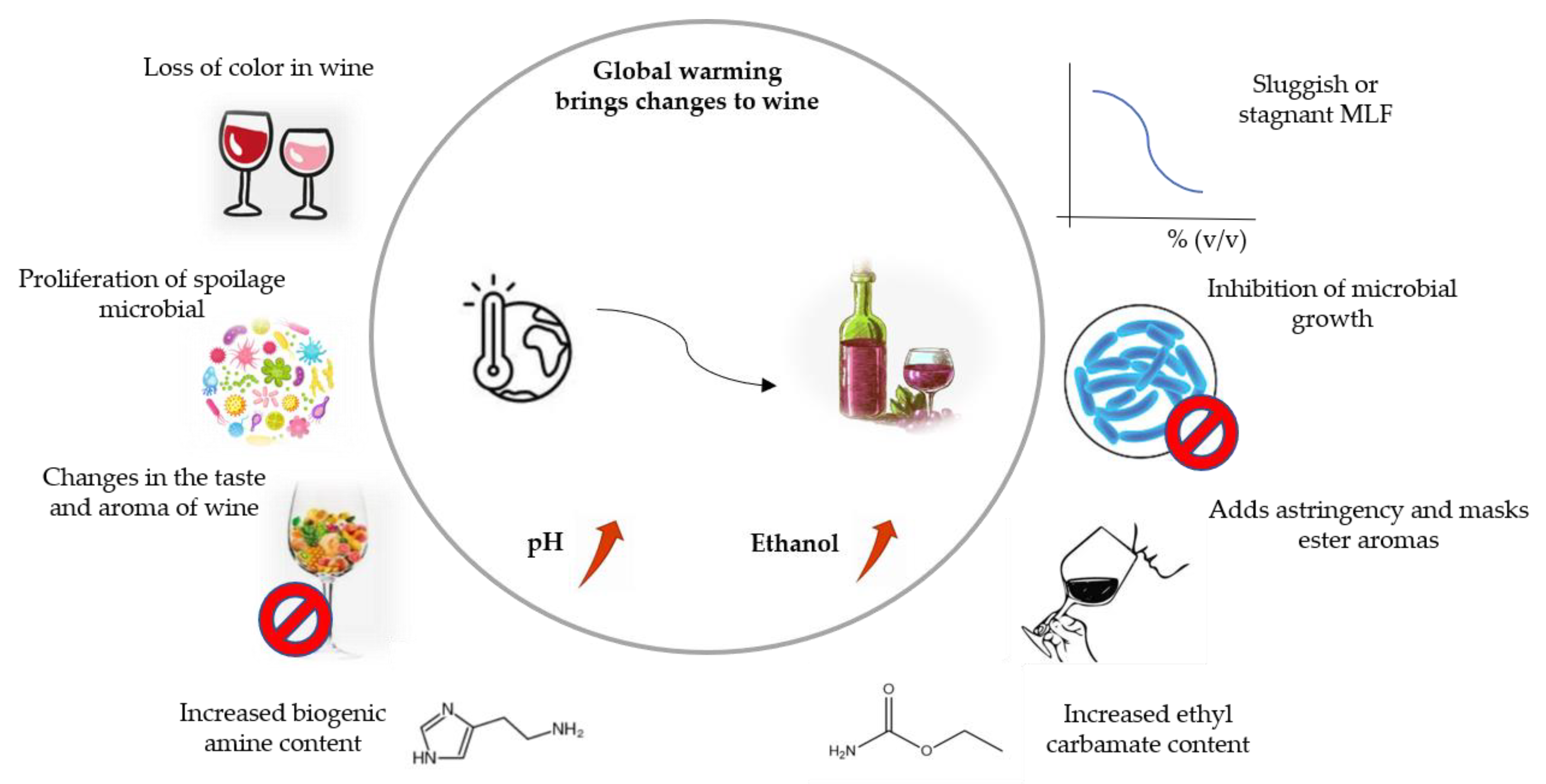 Microorganisms 10 02363 g001