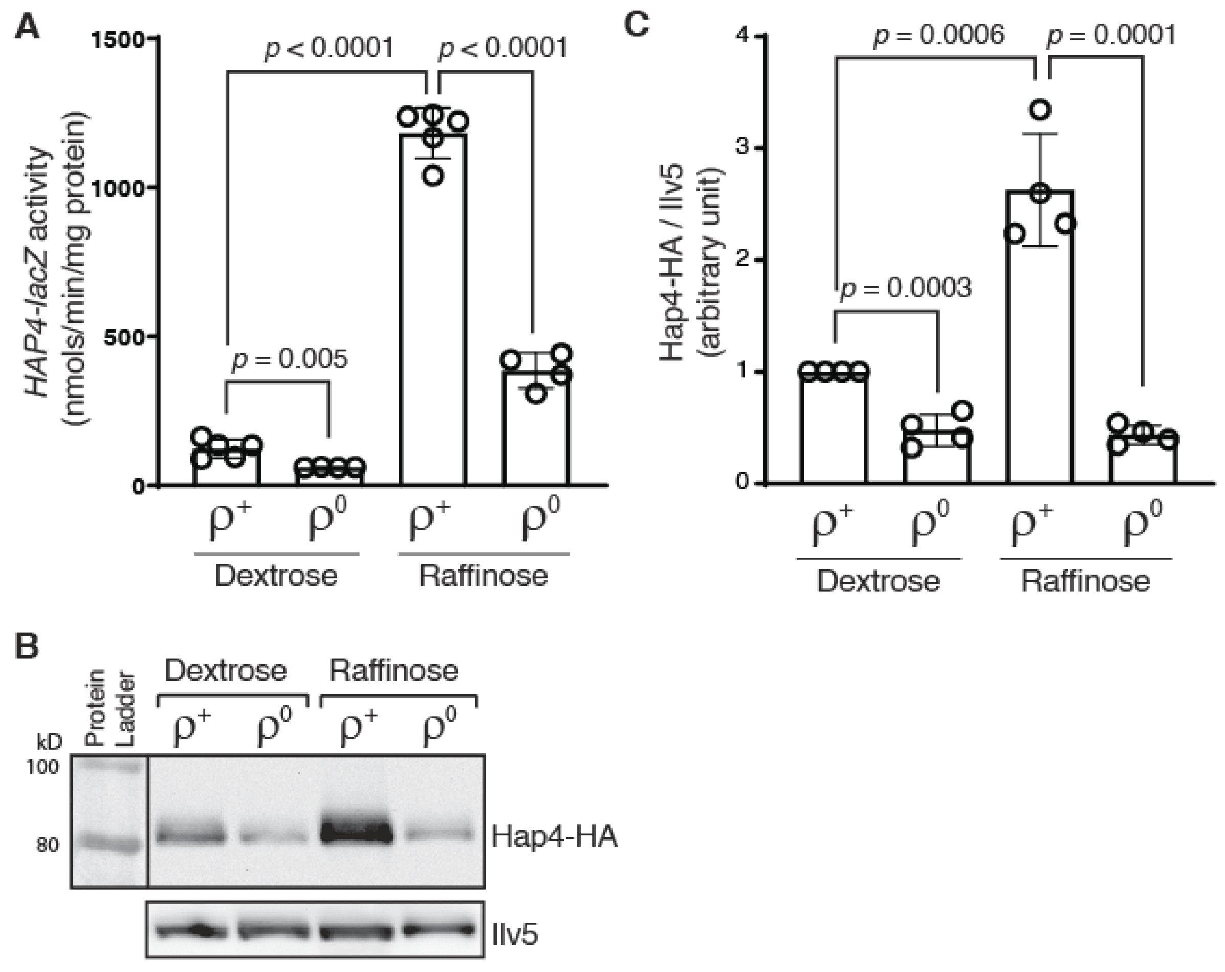 Microorganisms 10 02370 g001 Microorganisms 10 02370 g001