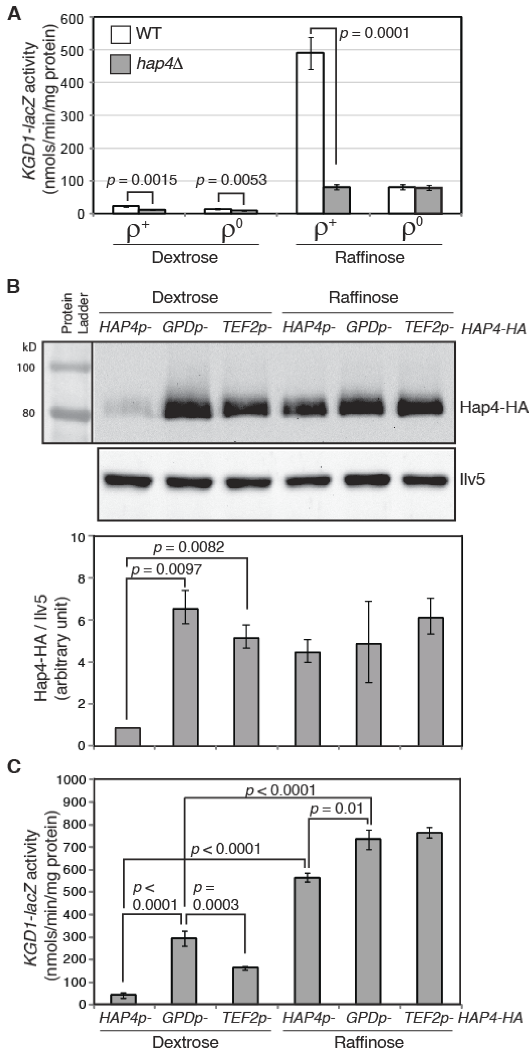 Microorganisms 10 02370 g002 Microorganisms 10 02370 g002