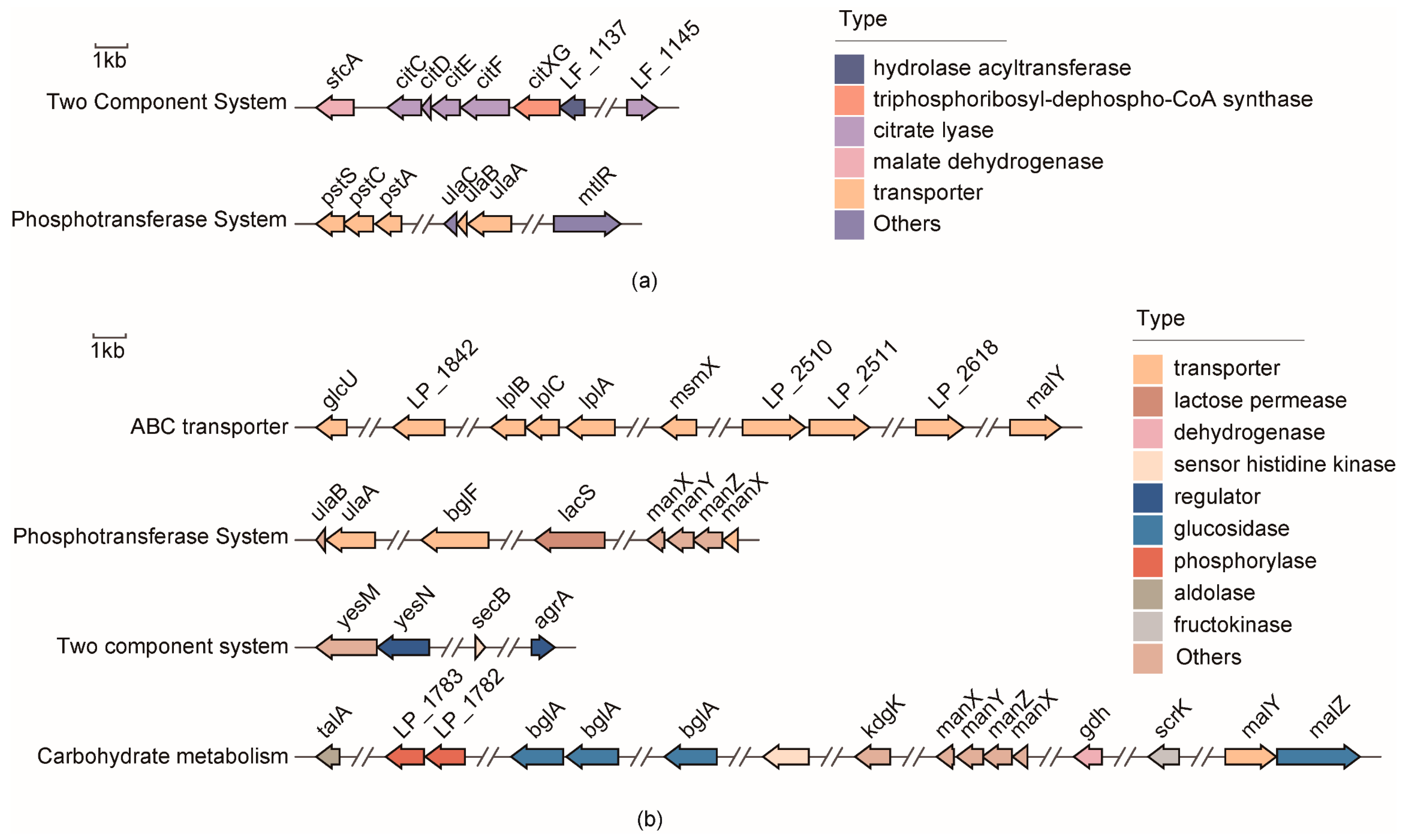 Microorganisms 10 02371 g004 Microorganisms 10 02371 g004