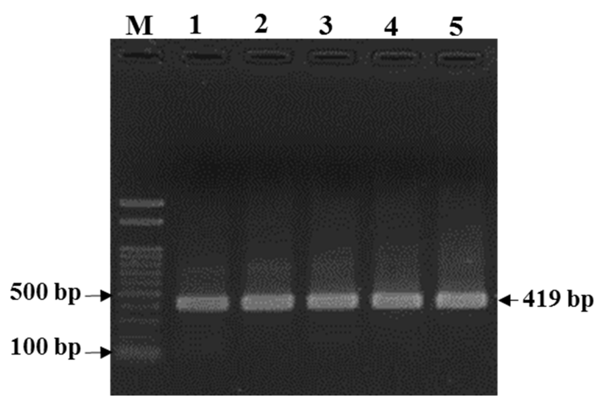 Microorganisms 10 02384 g002 Microorganisms 10 02384 g002