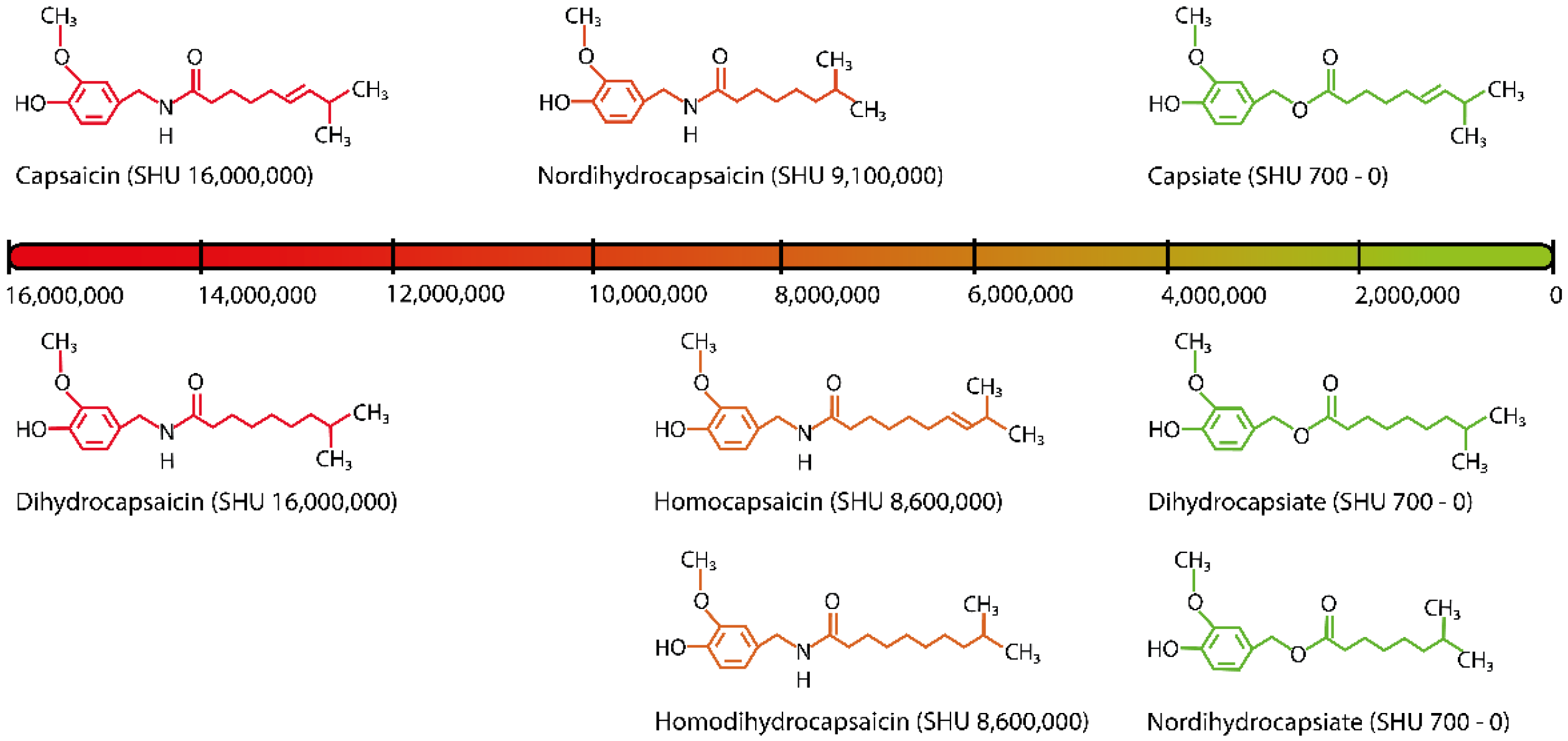 Microorganisms 10 02387 g001 Microorganisms 10 02387 g001