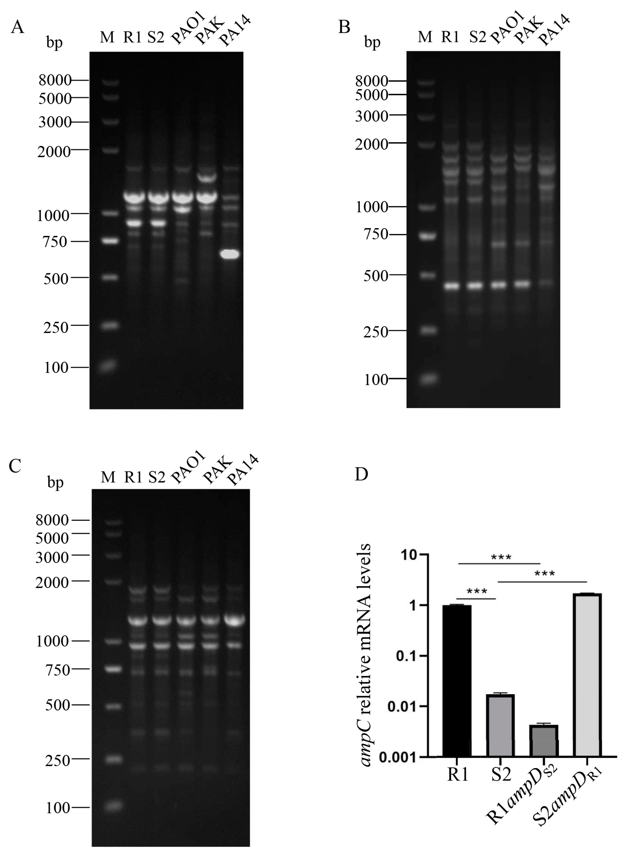 Microorganisms 10 02395 g001