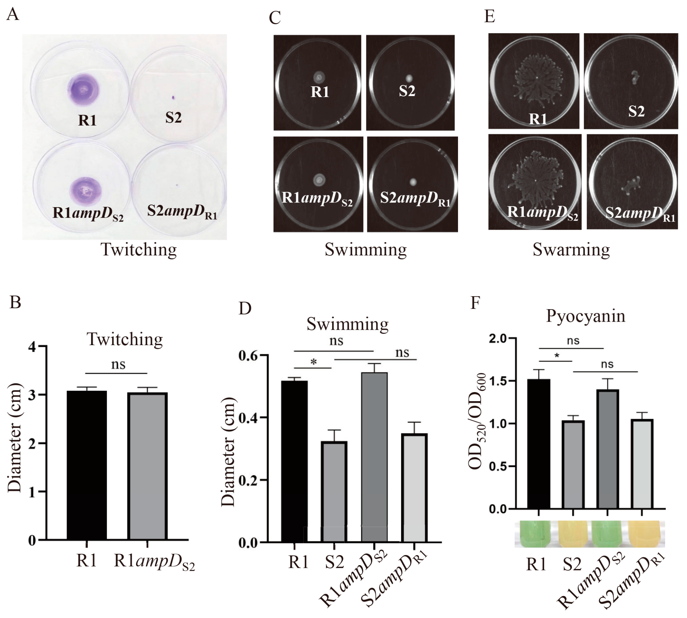 Microorganisms 10 02395 g004