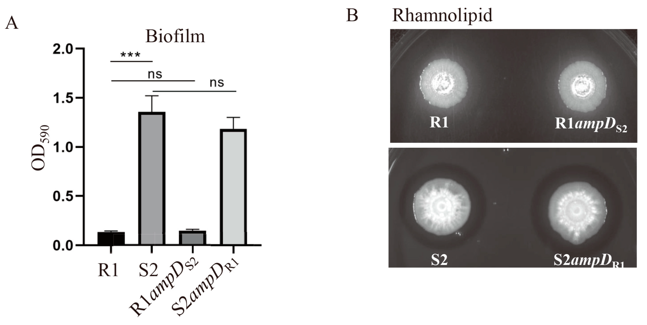 Microorganisms 10 02395 g005