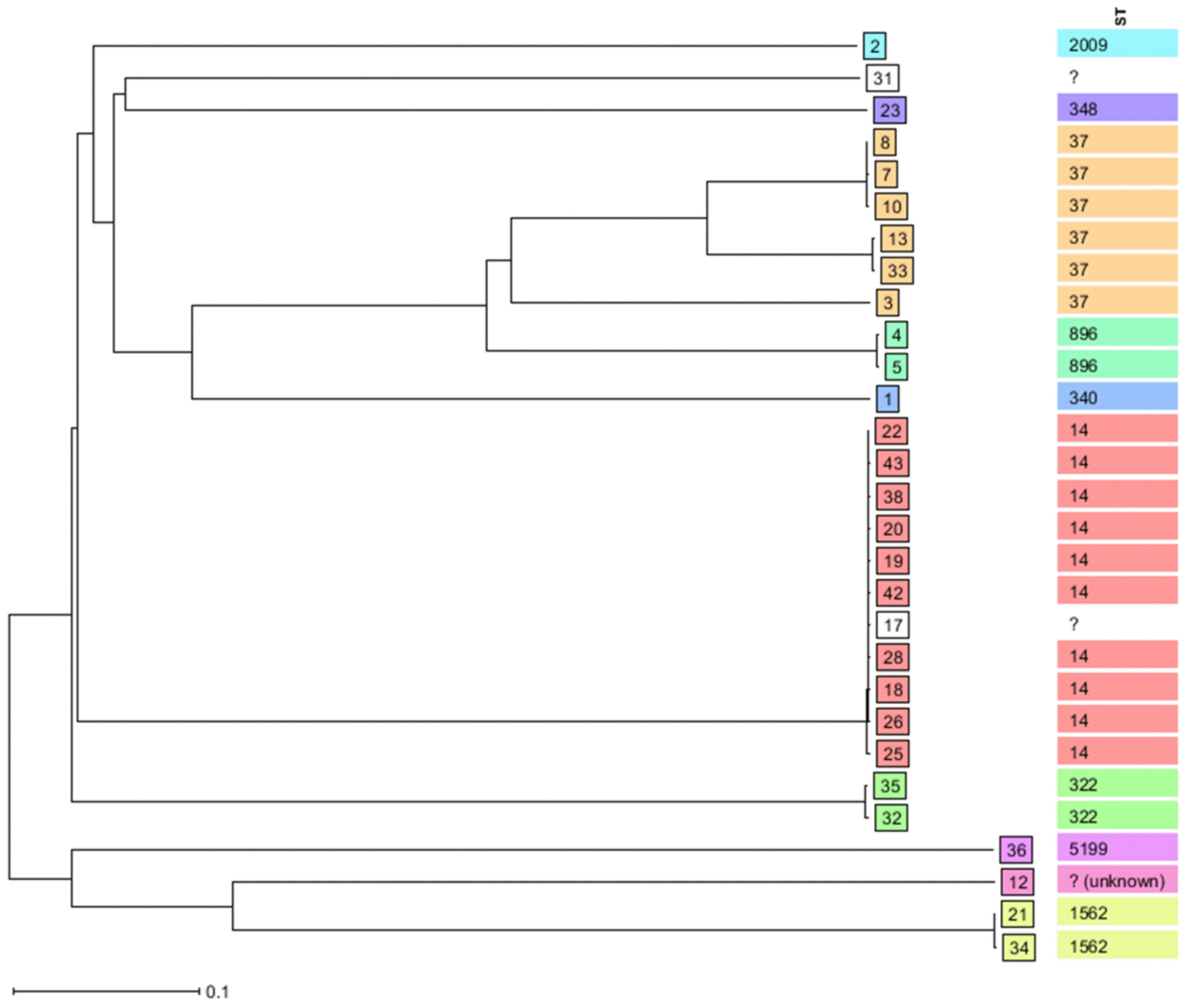 Microorganisms 10 02396 g002