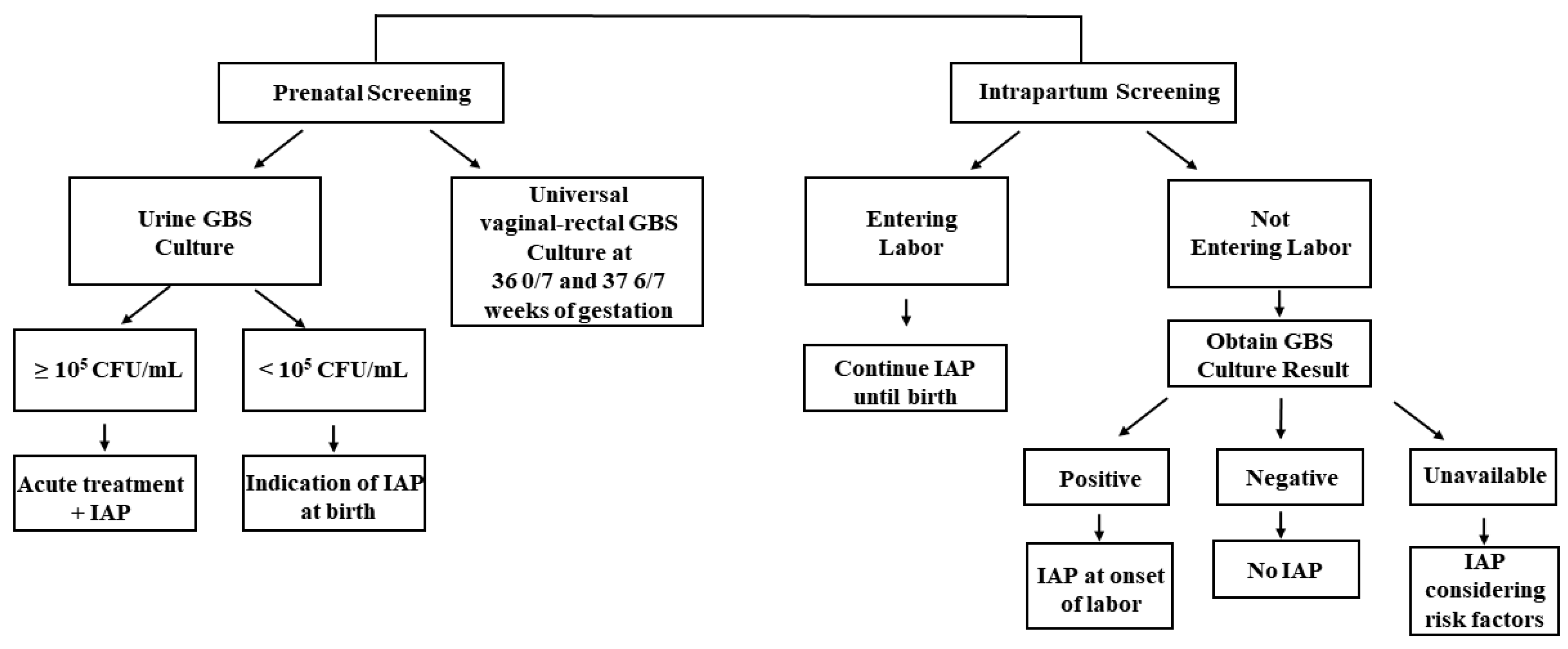 Microorganisms 10 02398 g001