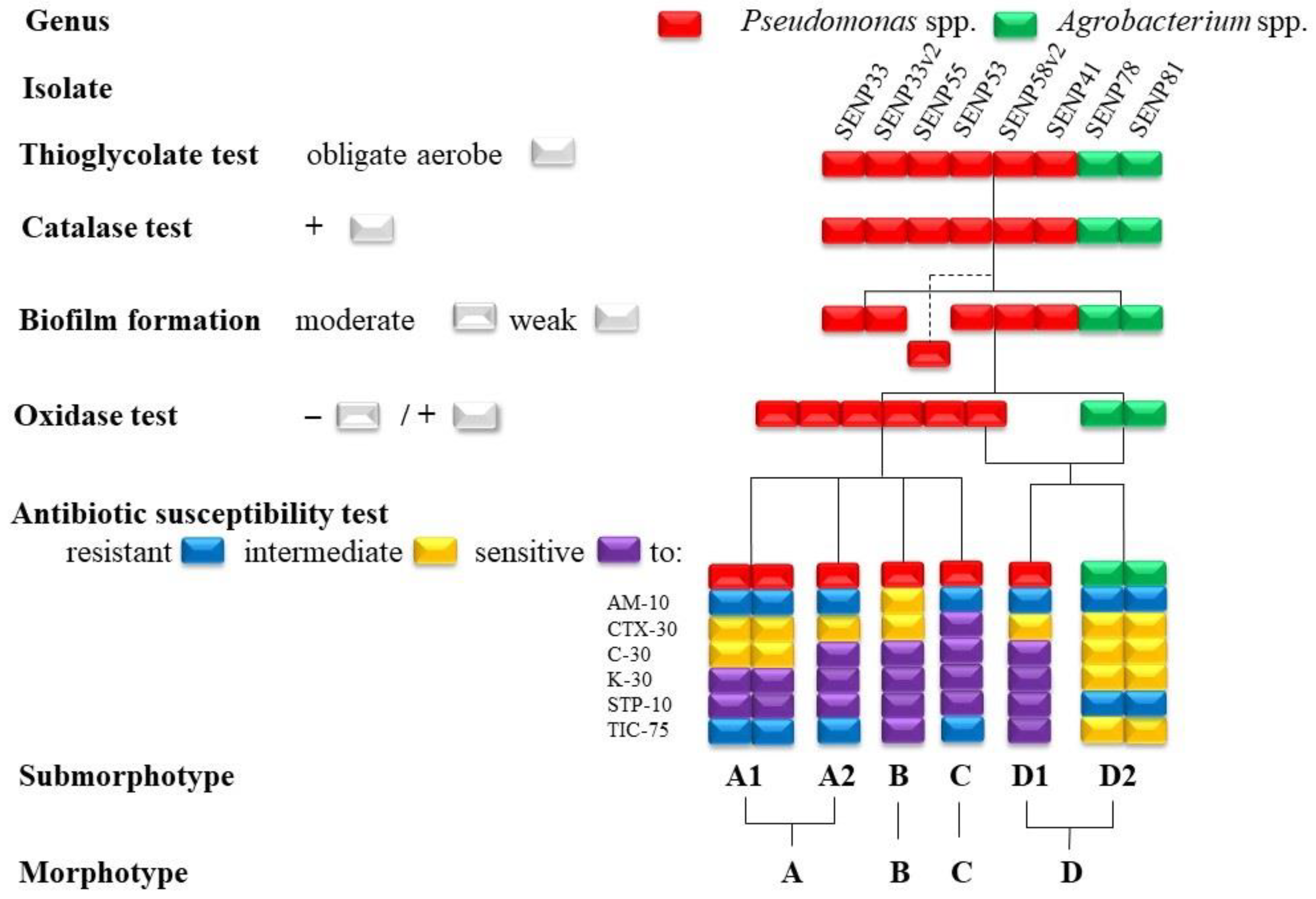 Microorganisms 10 02402 g003