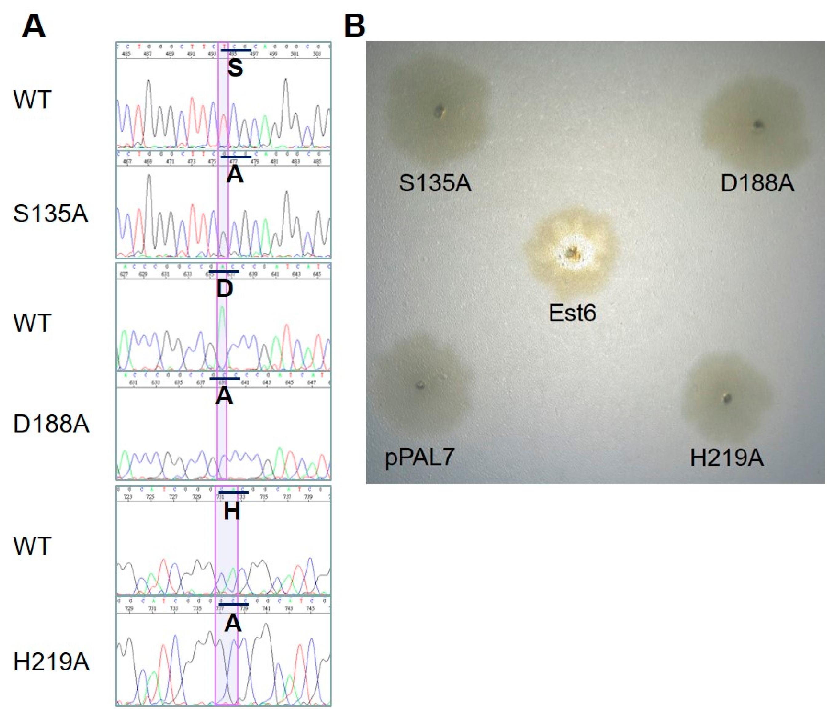 Microorganisms 10 02403 g005 Microorganisms 10 02403 g005