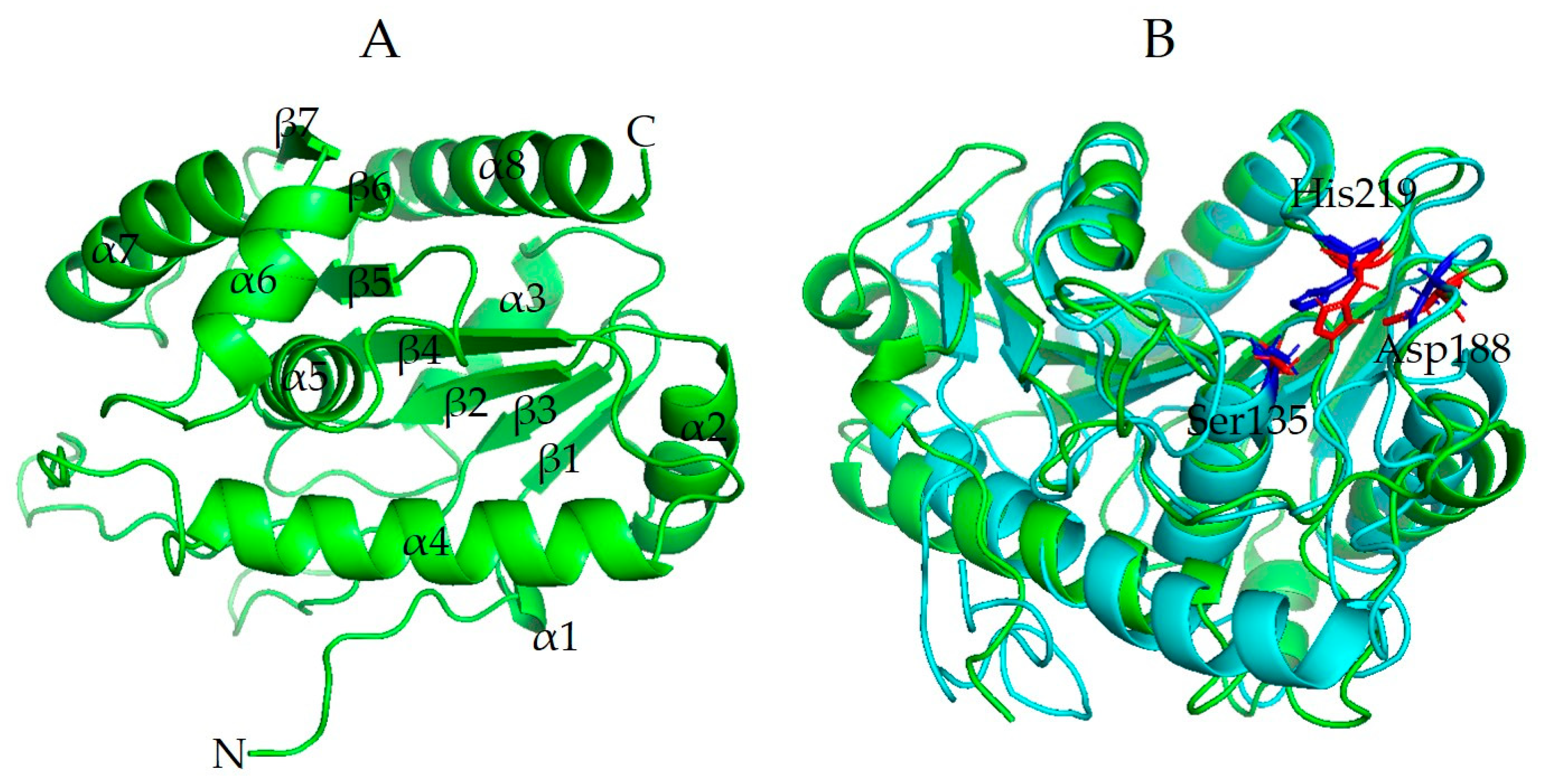 Microorganisms 10 02403 g006 Microorganisms 10 02403 g006