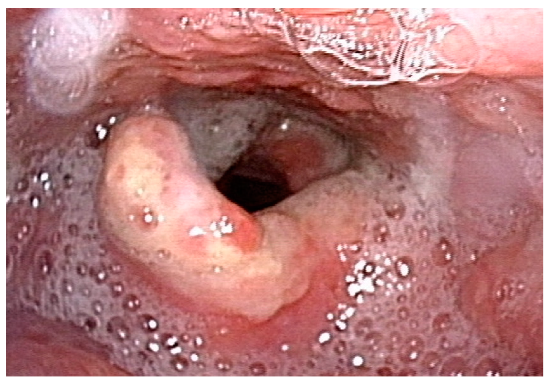 Microorganisms 10 02404 g001