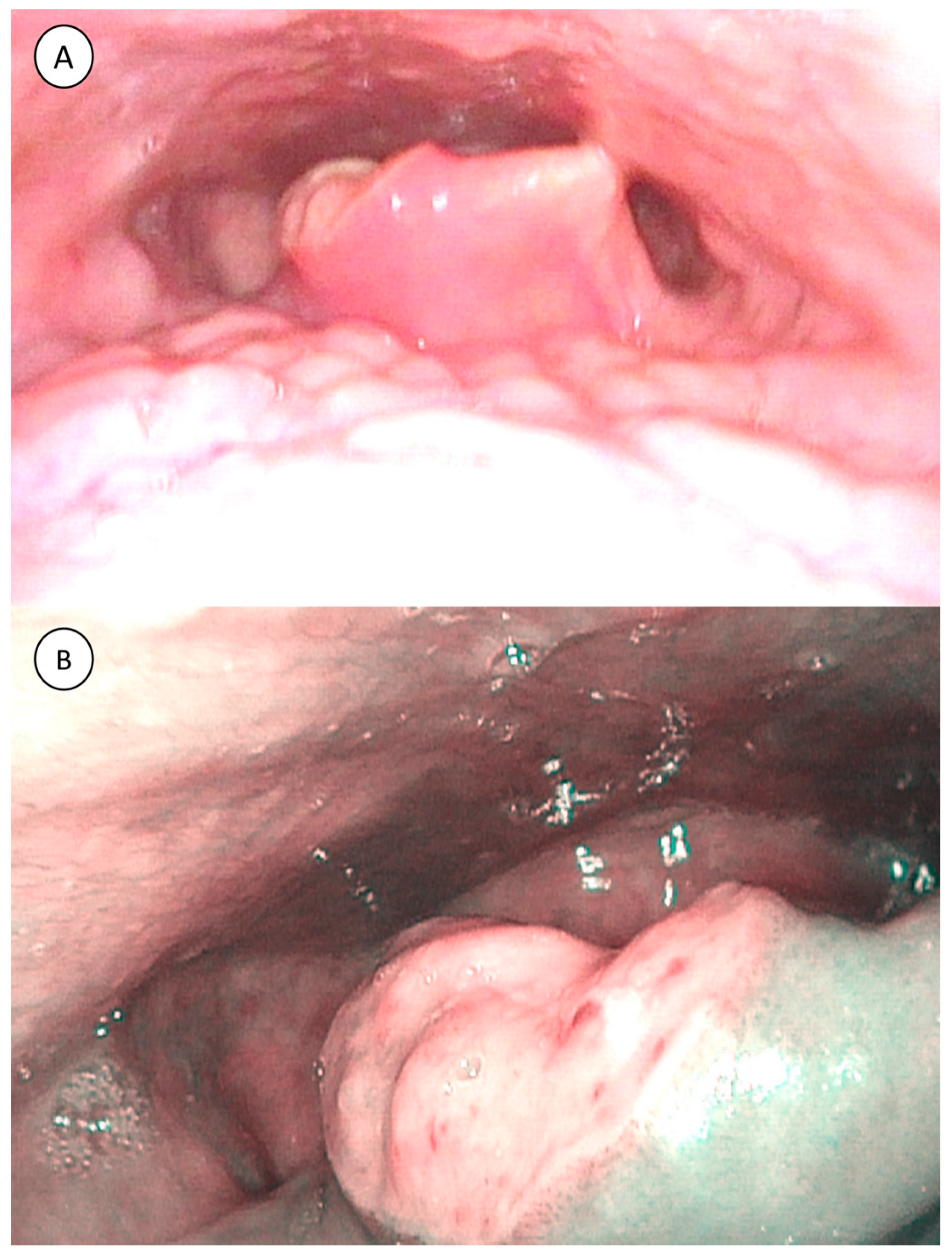 Microorganisms 10 02404 g002