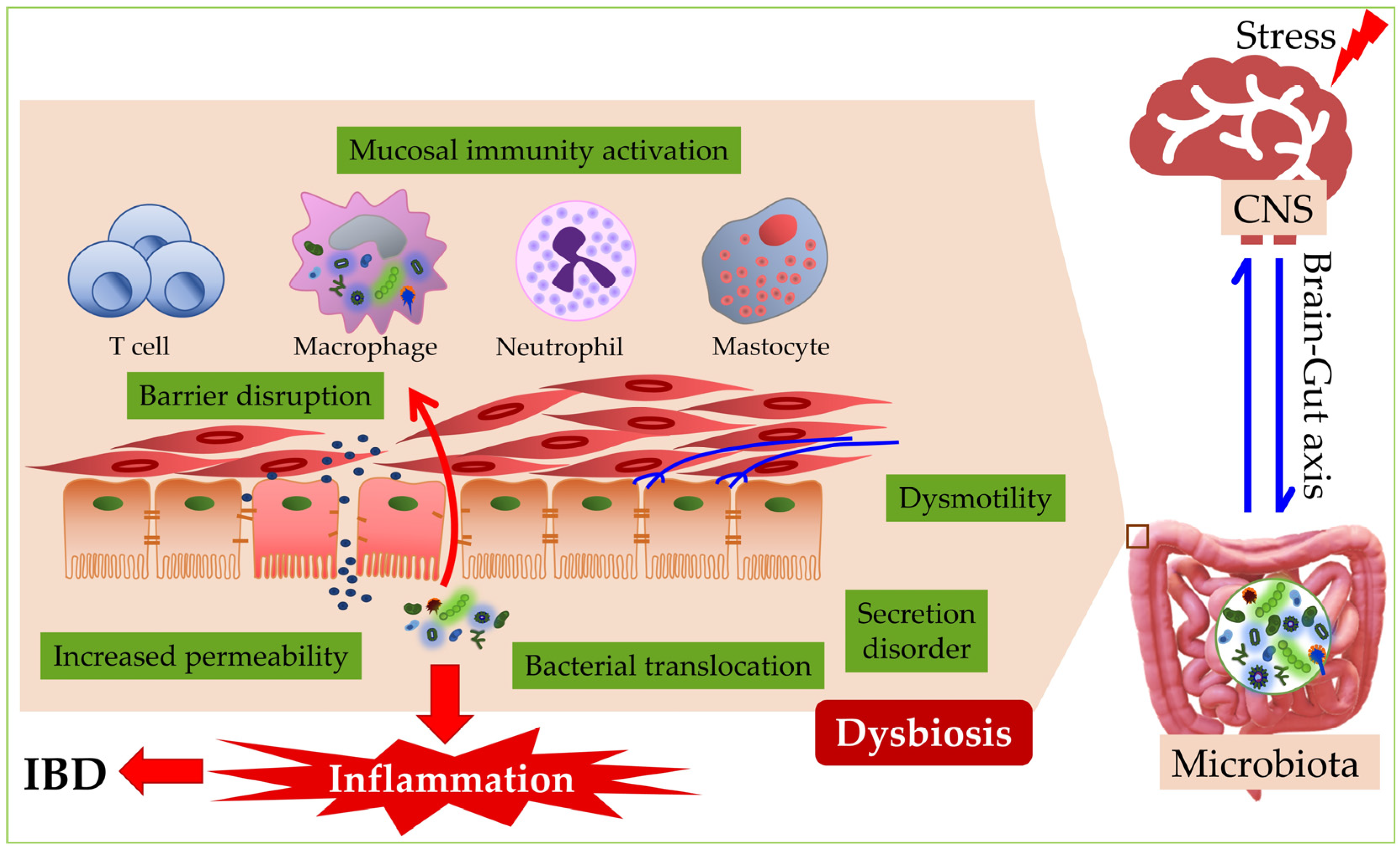 Microorganisms 10 02405 g001