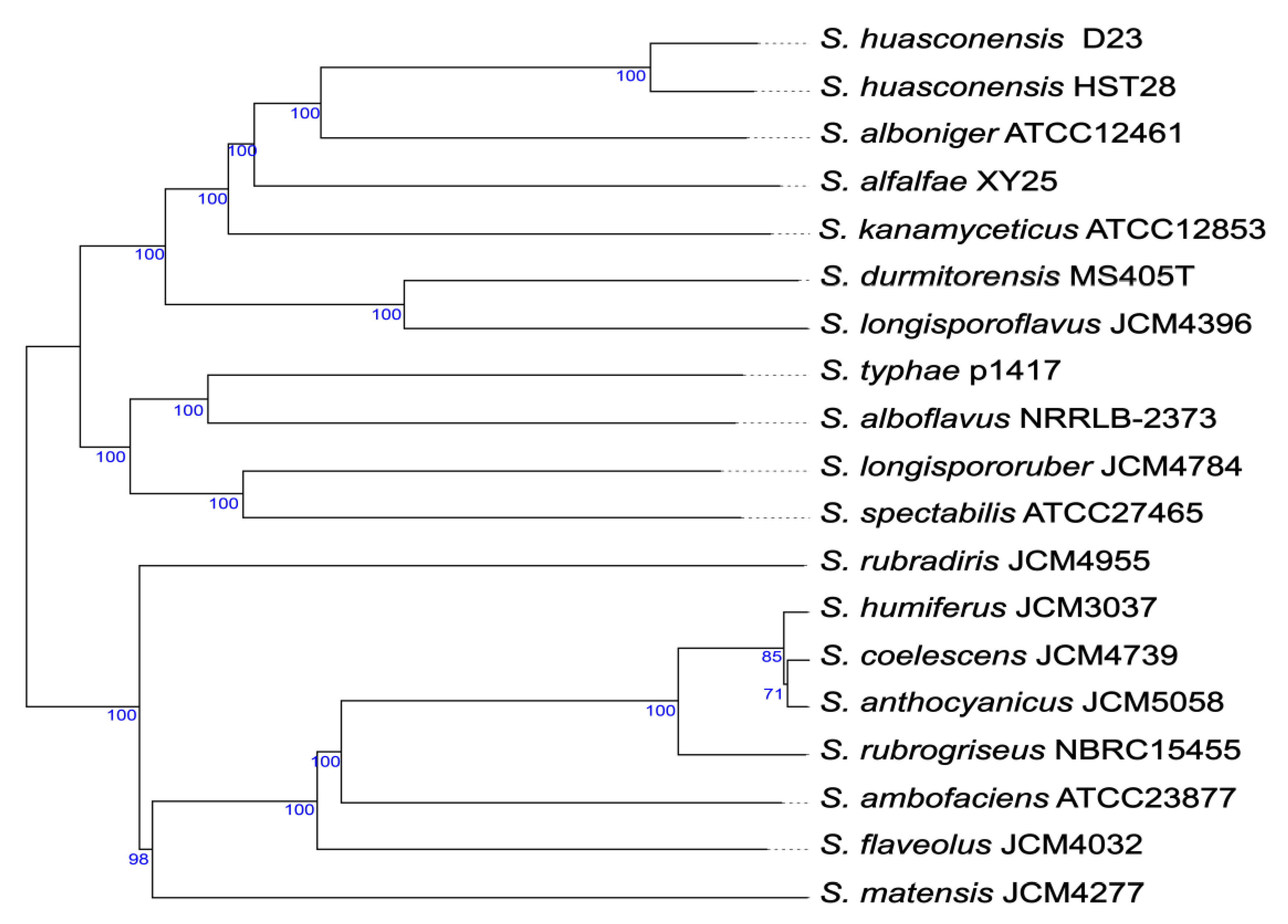 Microorganisms 10 02408 g001 Microorganisms 10 02408 g001