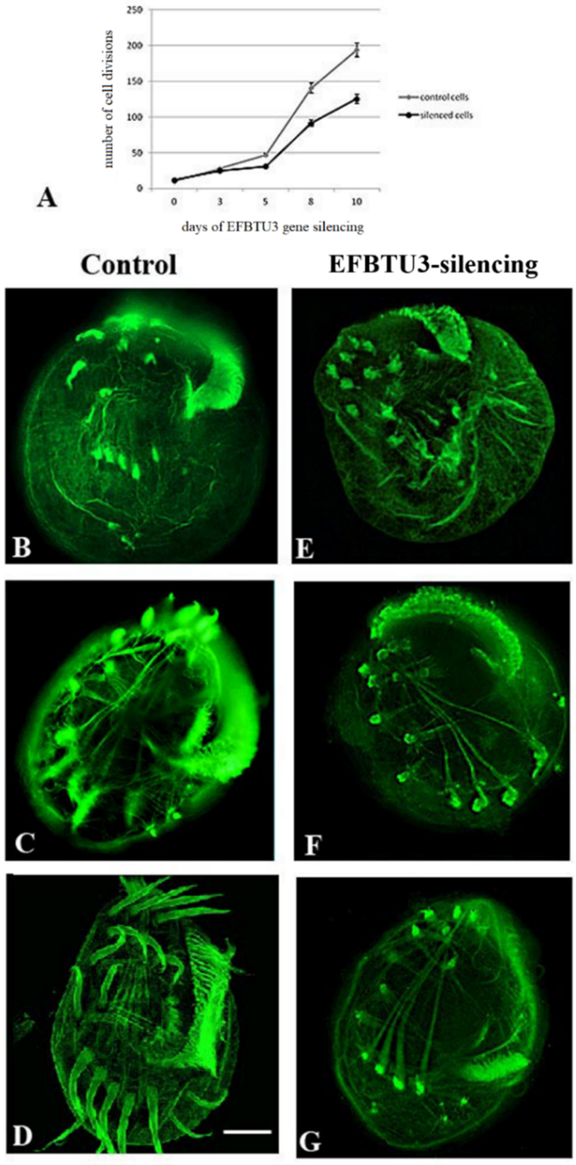 Microorganisms 10 02415 g003