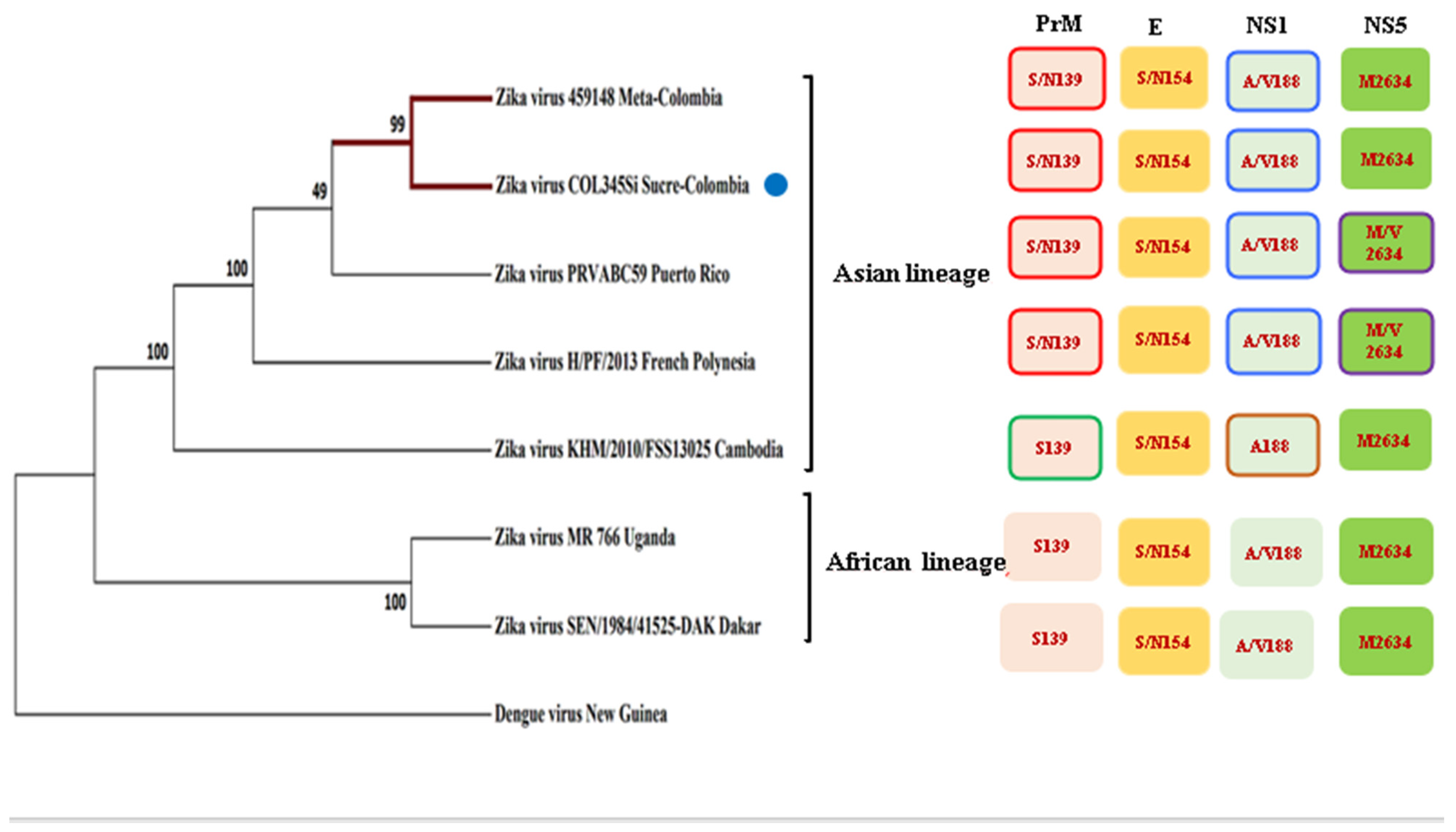 Microorganisms 10 02420 g001