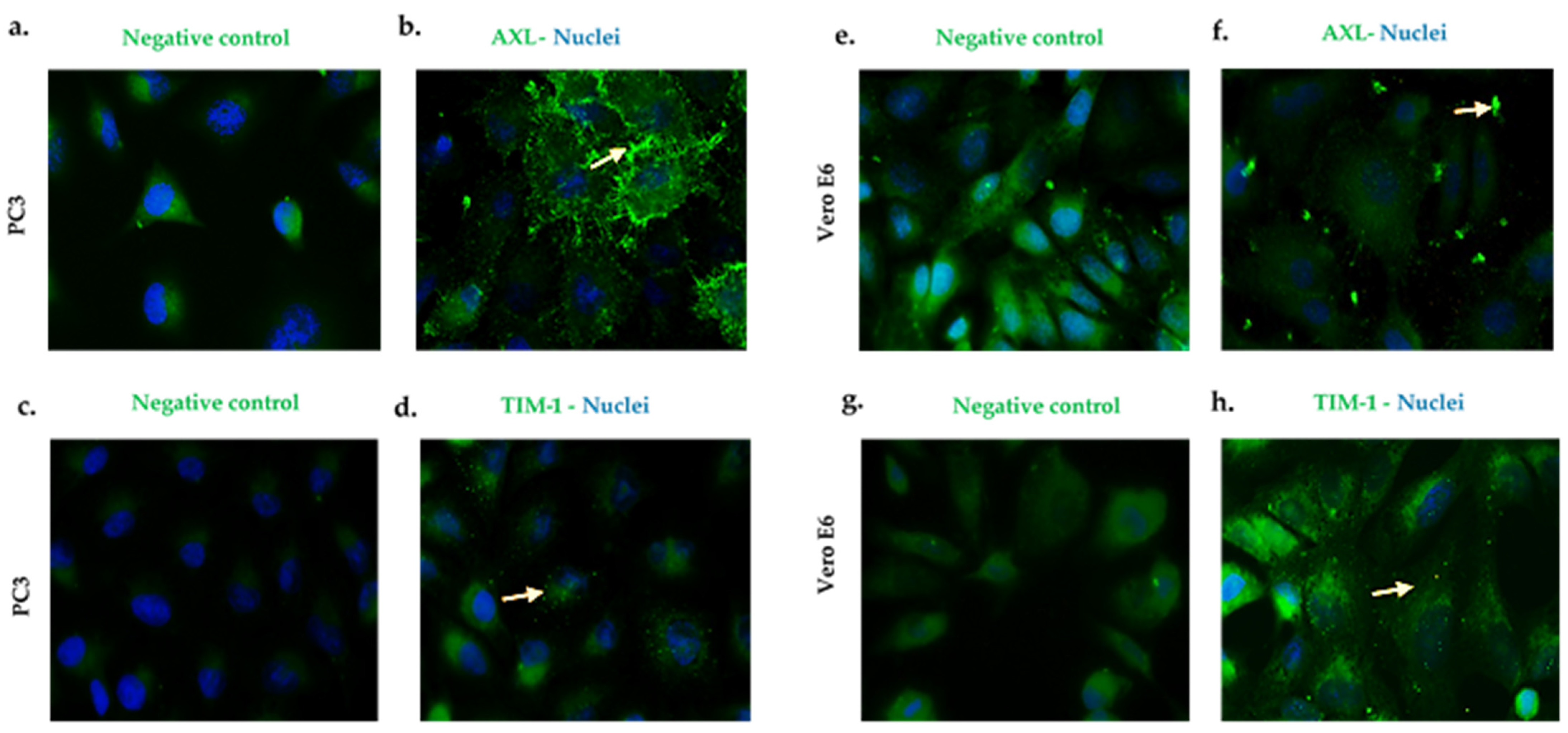 Microorganisms 10 02420 g002