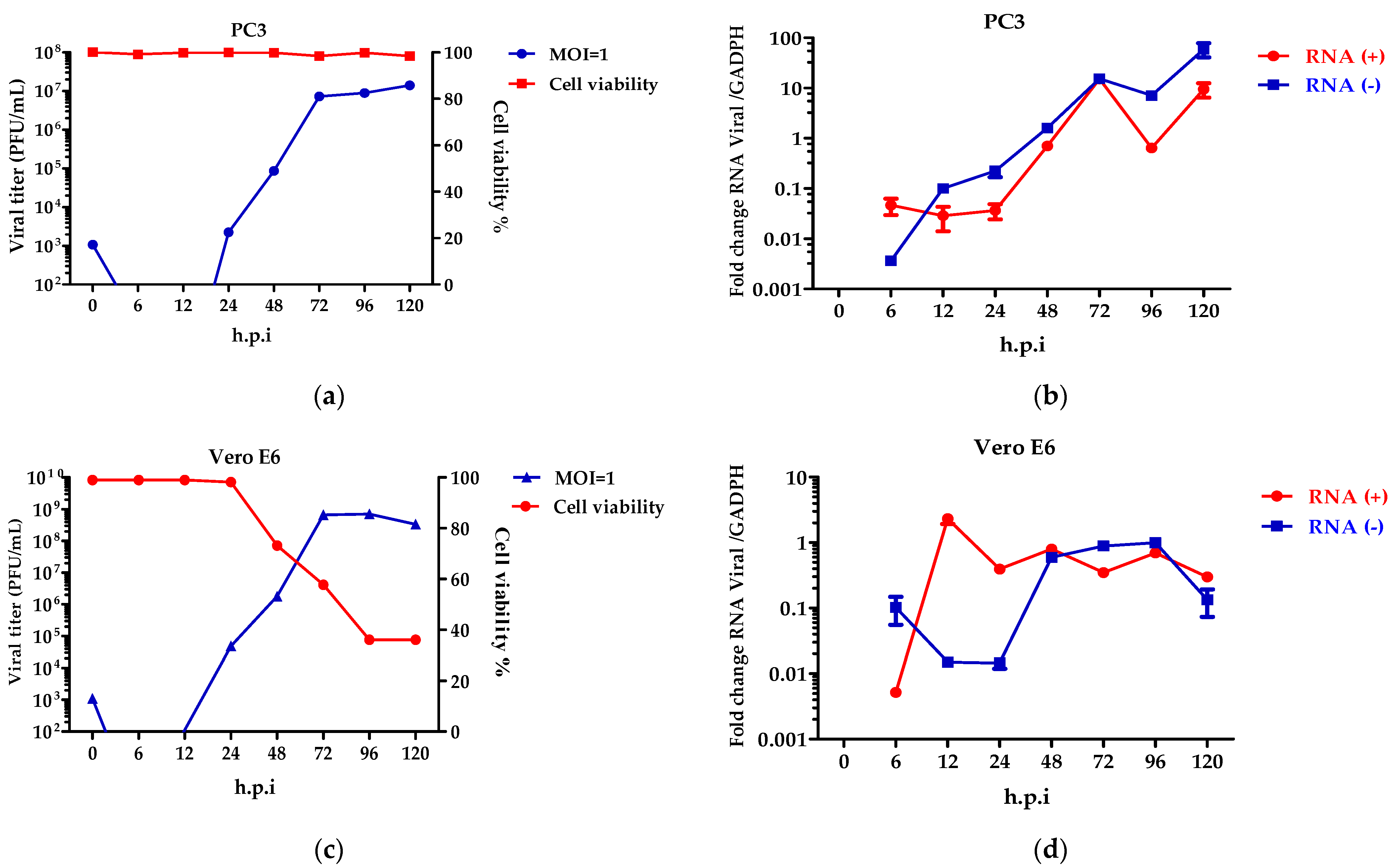 Microorganisms 10 02420 g004