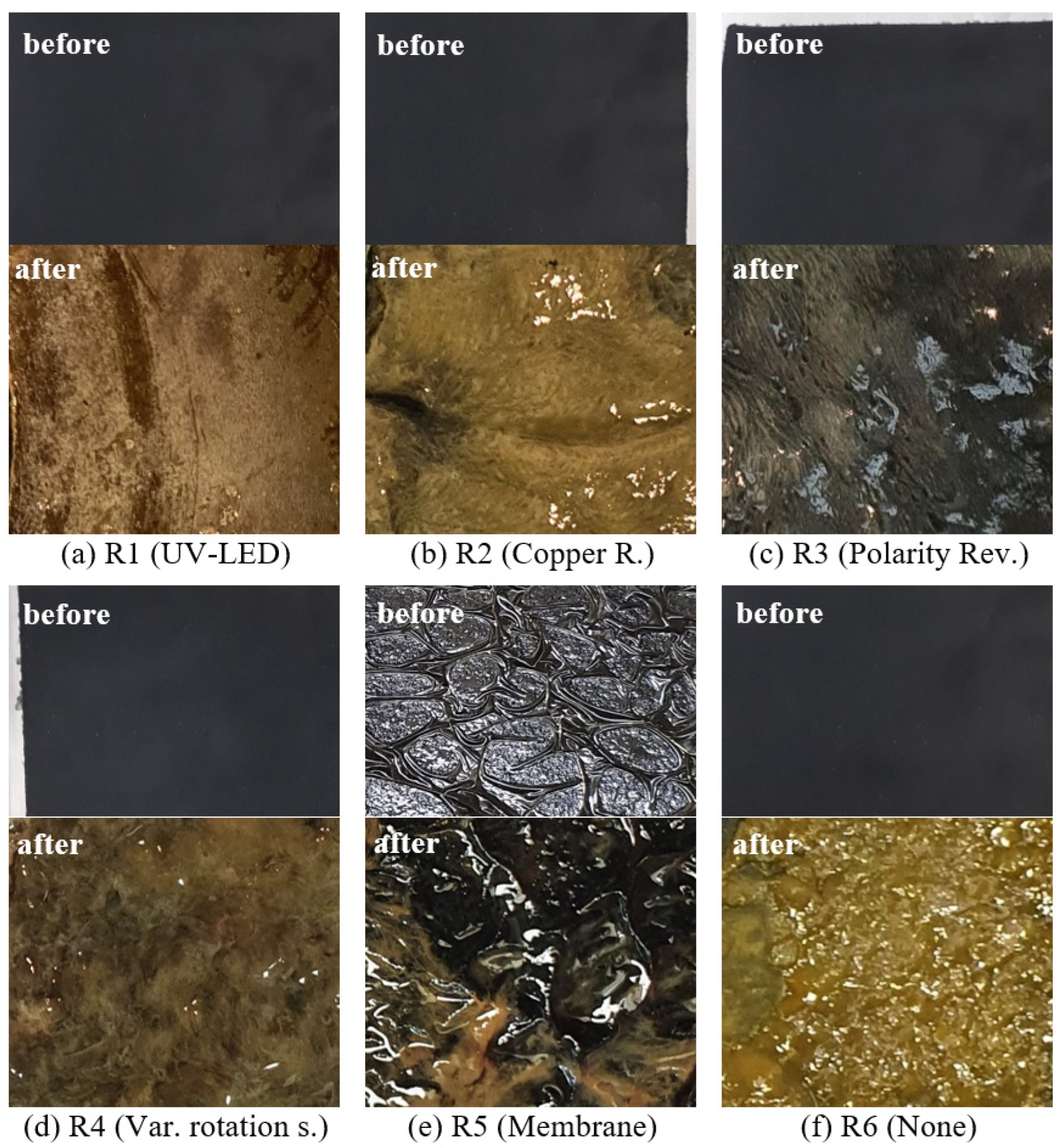Microorganisms 10 02421 g005 Microorganisms 10 02421 g005