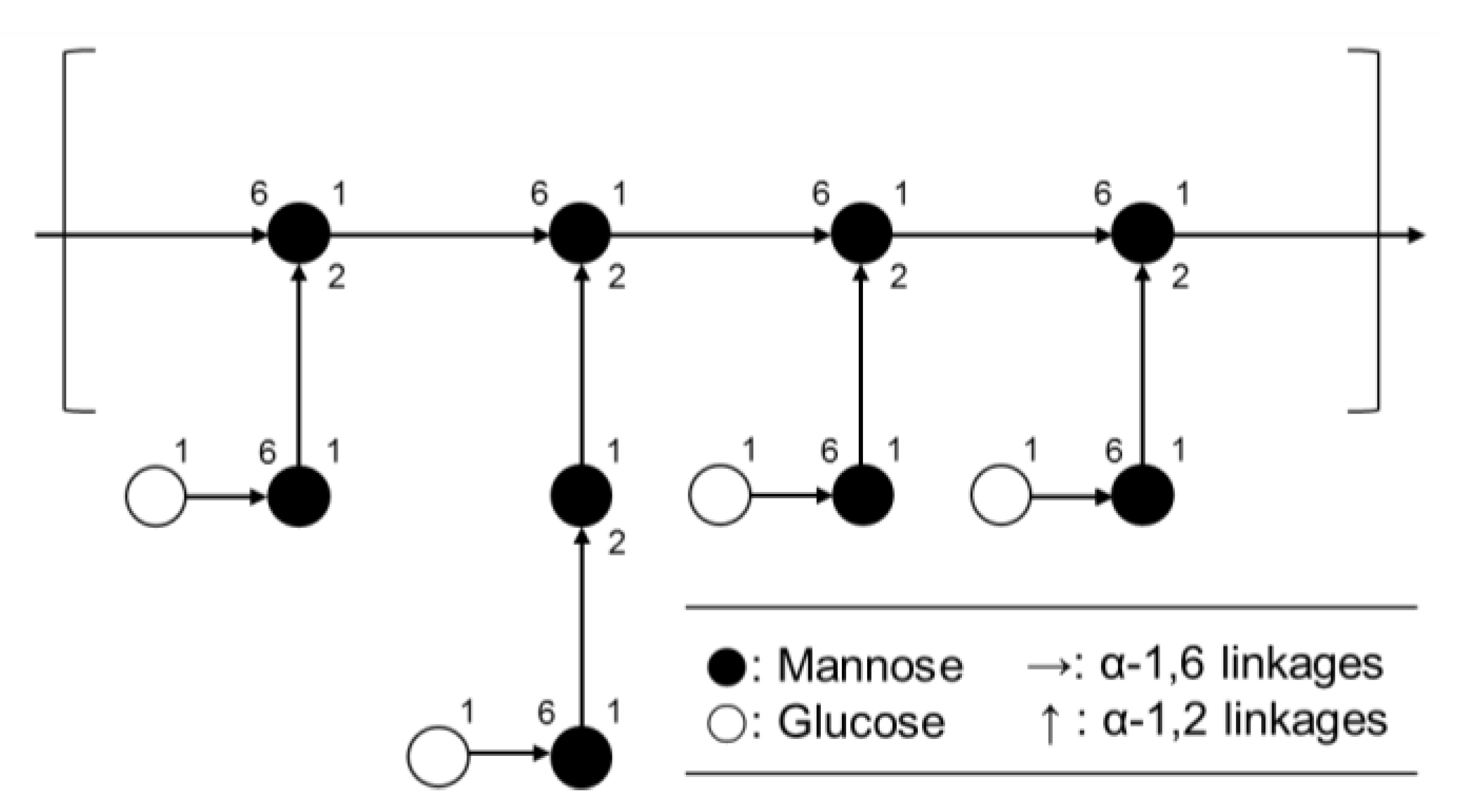 Microorganisms 10 02431 g005