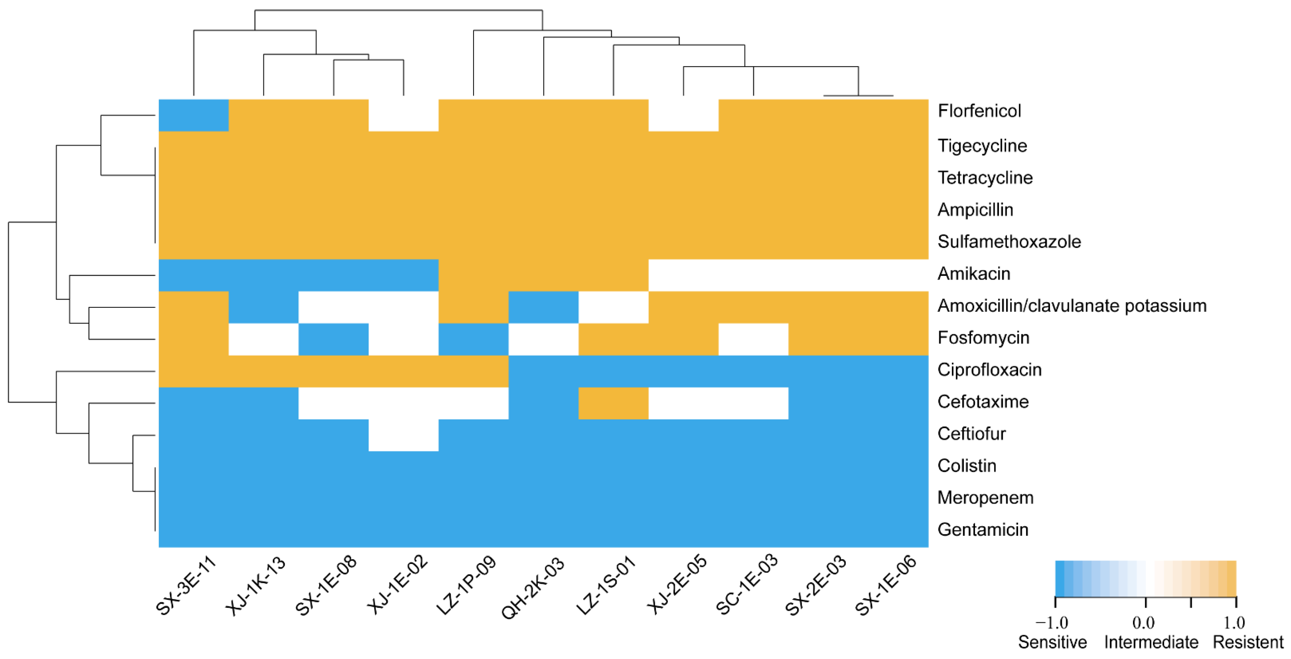 Microorganisms 10 02432 g002 Microorganisms 10 02432 g002