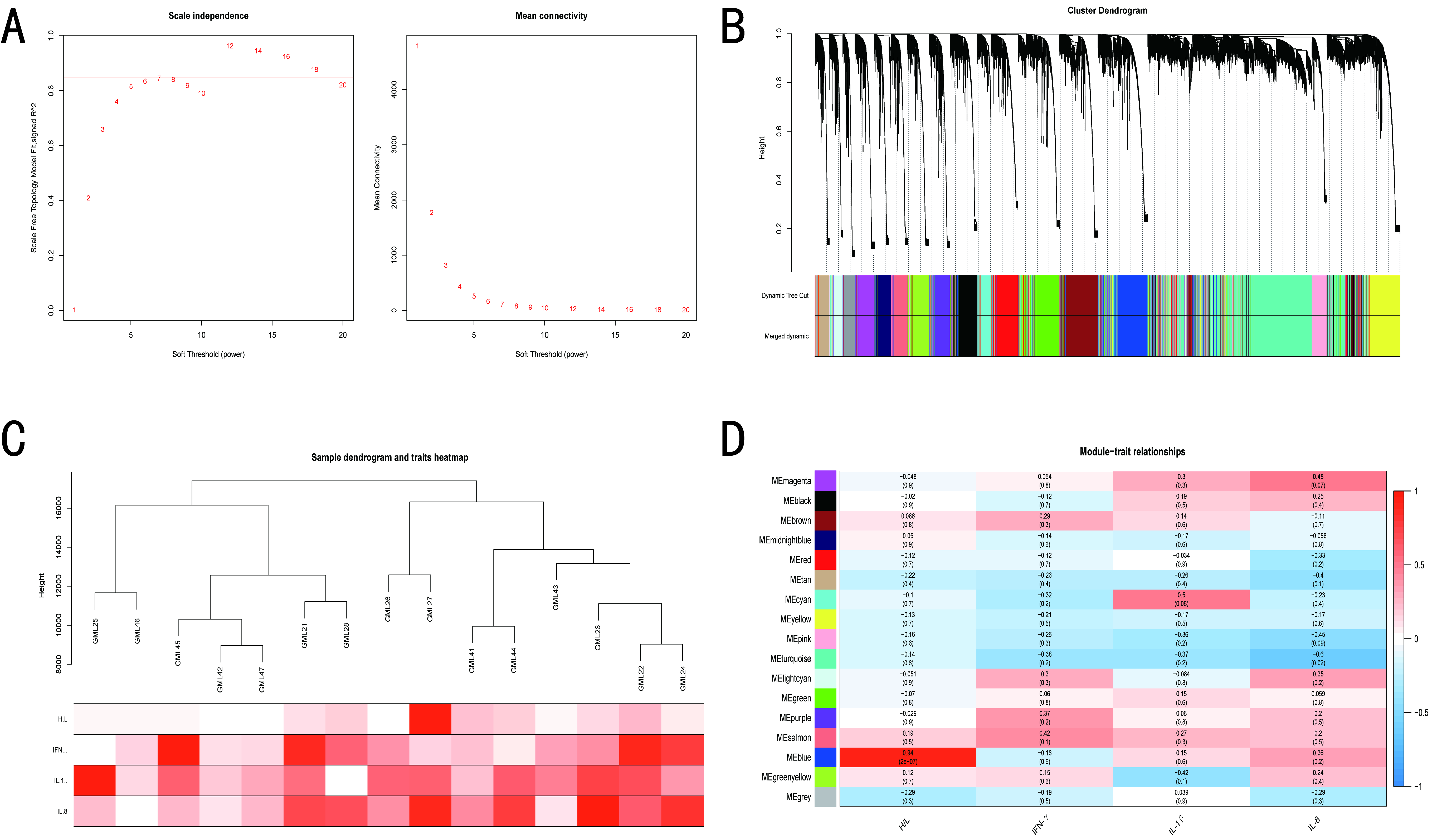 Microorganisms 10 02440 g005