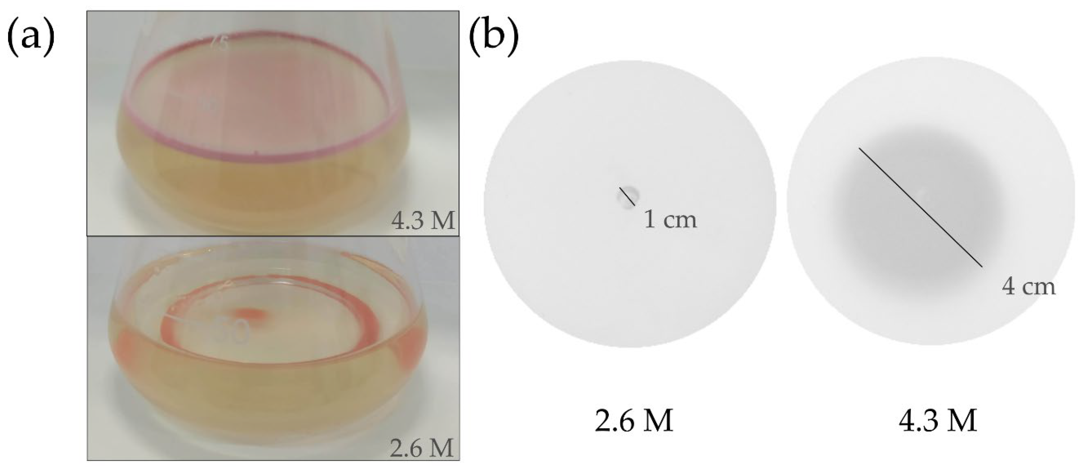 Microorganisms 10 02442 g001
