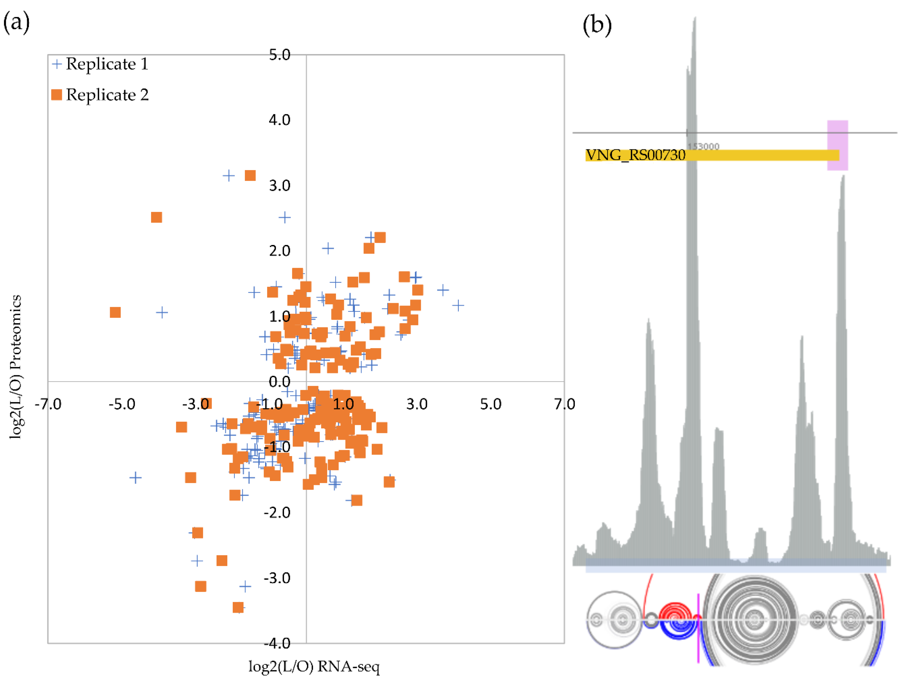 Microorganisms 10 02442 g003