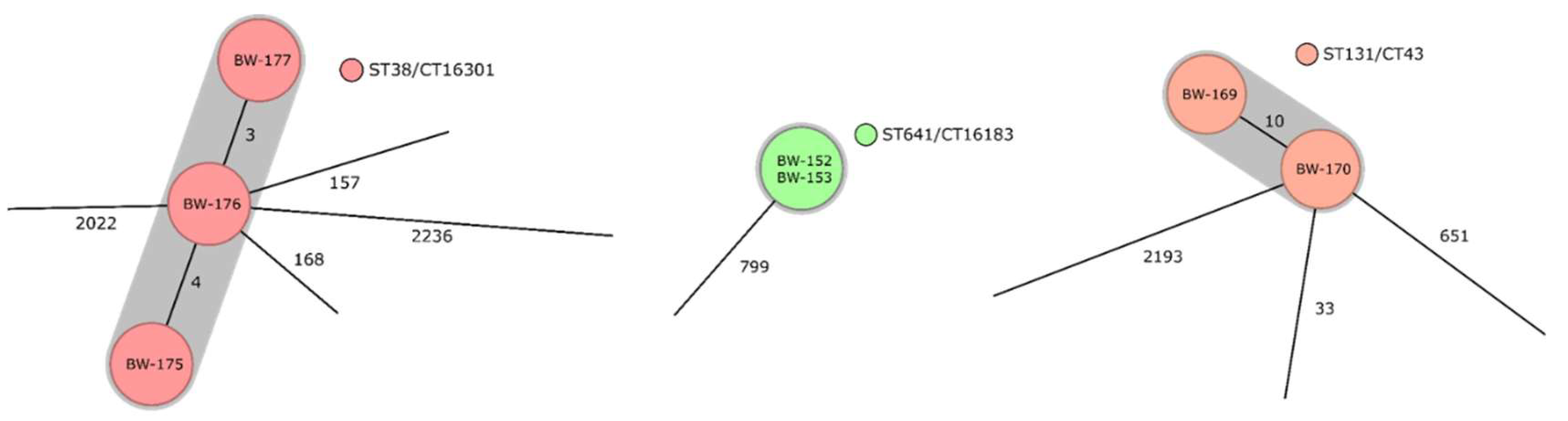Microorganisms 10 02448 g001 Microorganisms 10 02448 g001