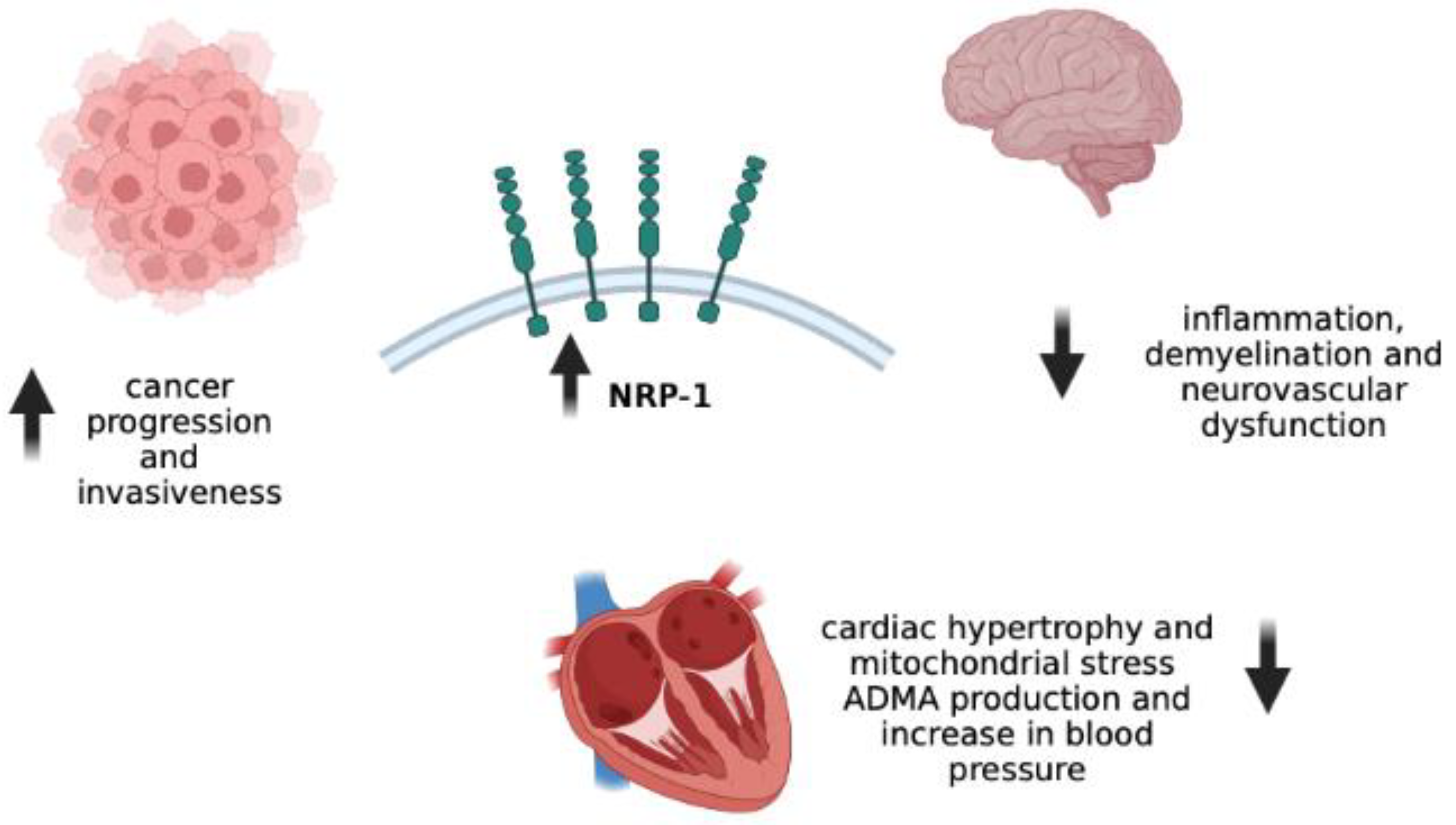 Microorganisms 10 02452 g002 Microorganisms 10 02452 g002