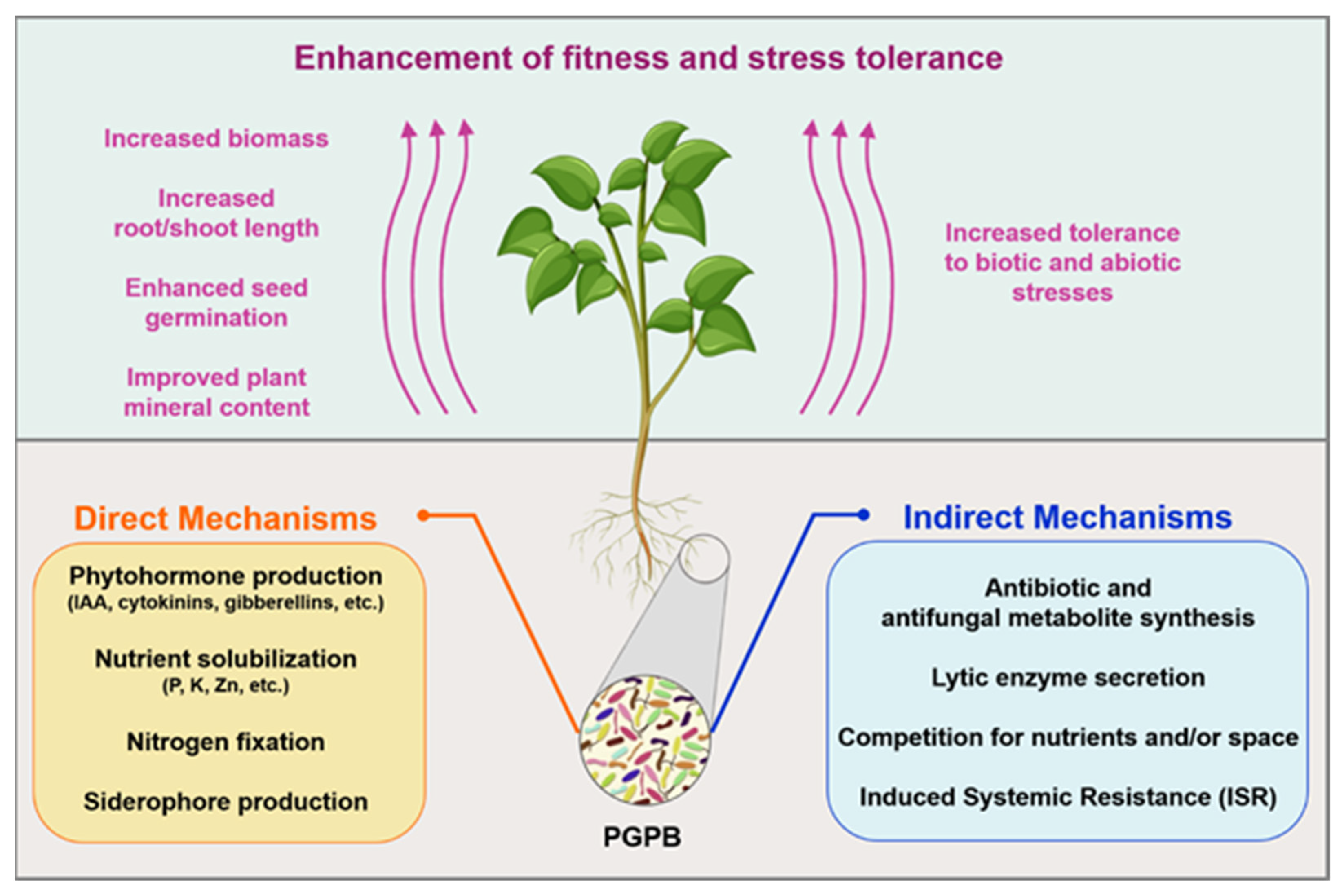 Microorganisms 10 02462 g001