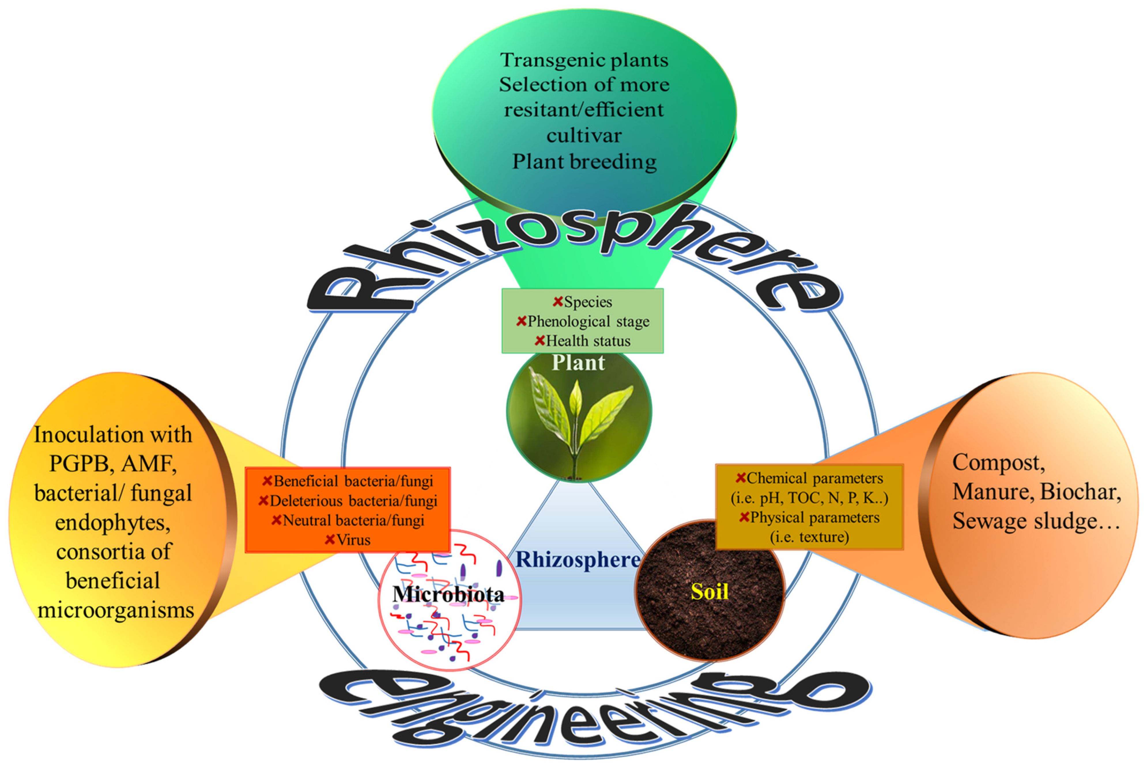 Microorganisms 10 02462 g002