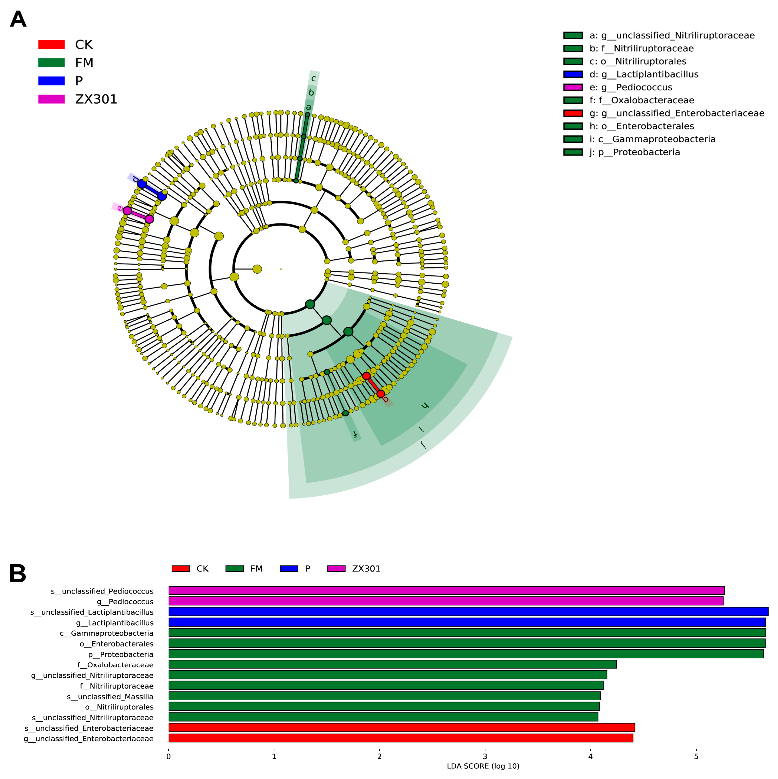 Microorganisms 10 02463 g003 Microorganisms 10 02463 g003
