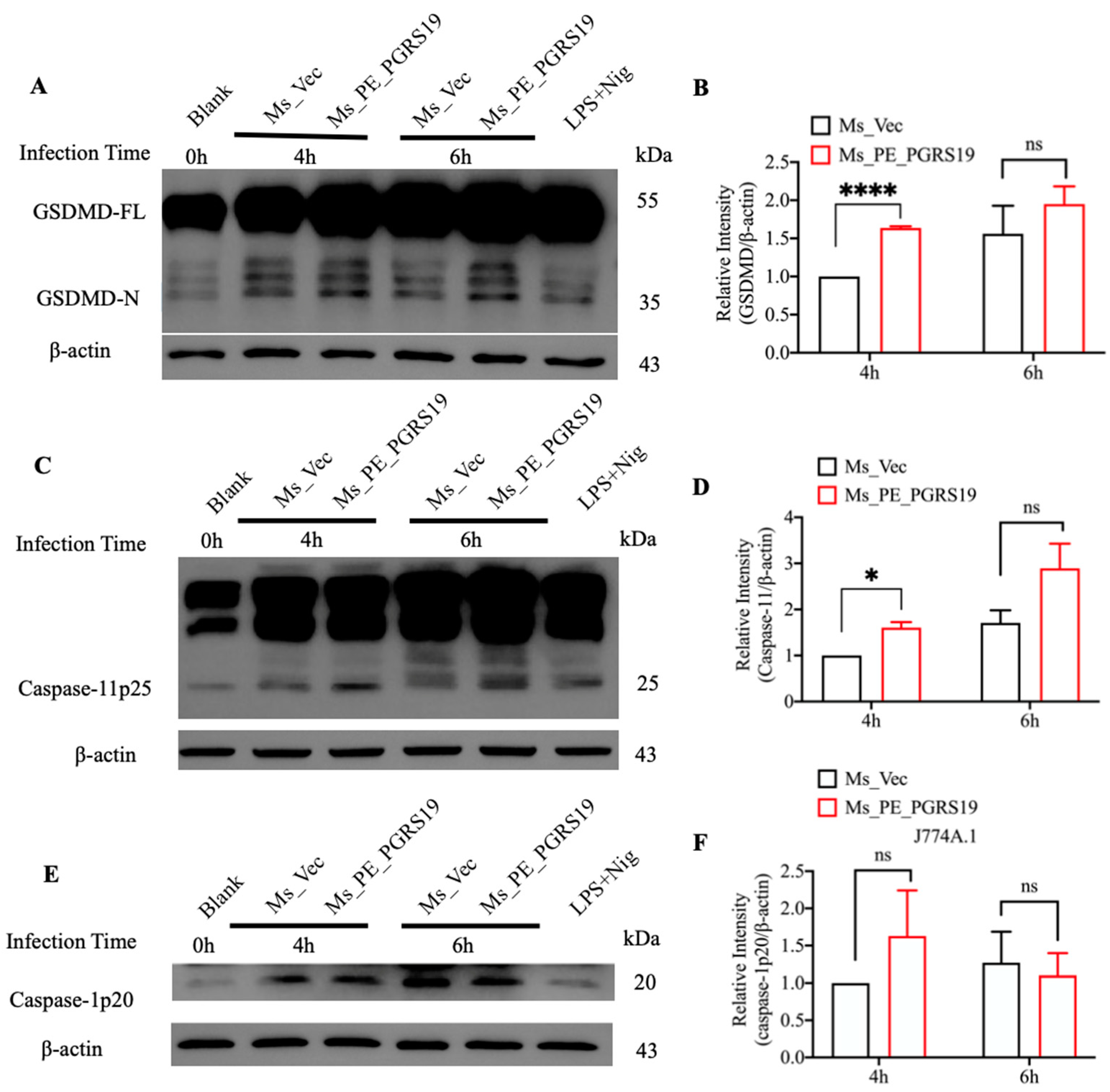 Microorganisms 10 02473 g005