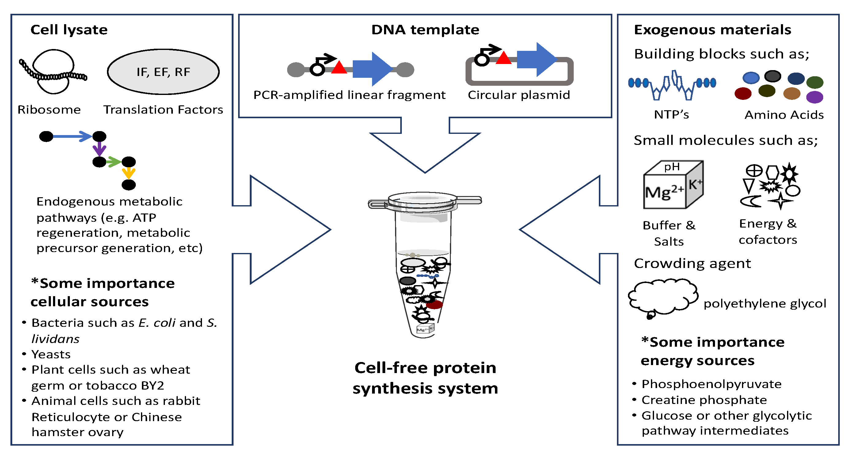 Microorganisms 10 02477 g002 Microorganisms 10 02477 g002