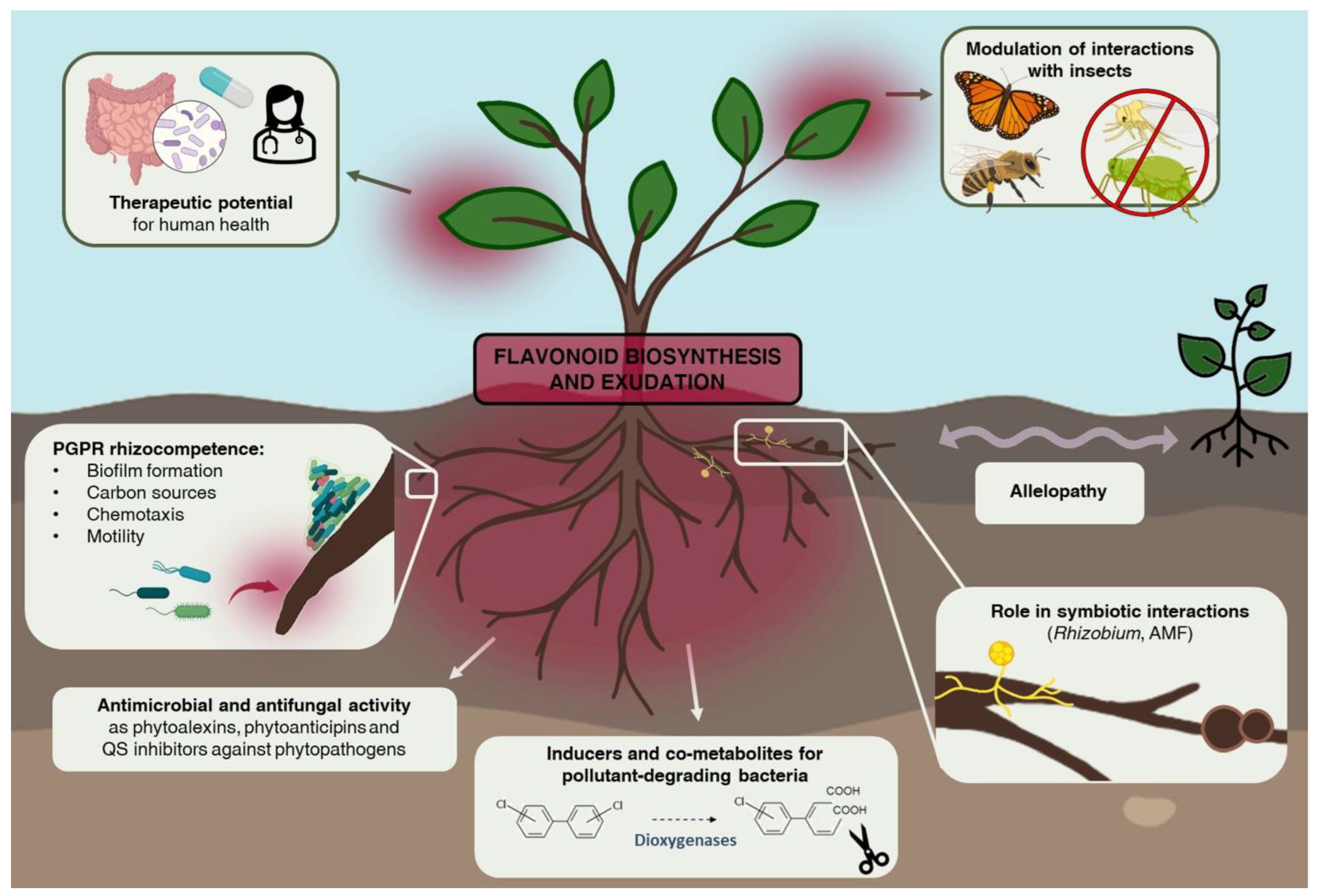 Microorganisms 10 02479 g002