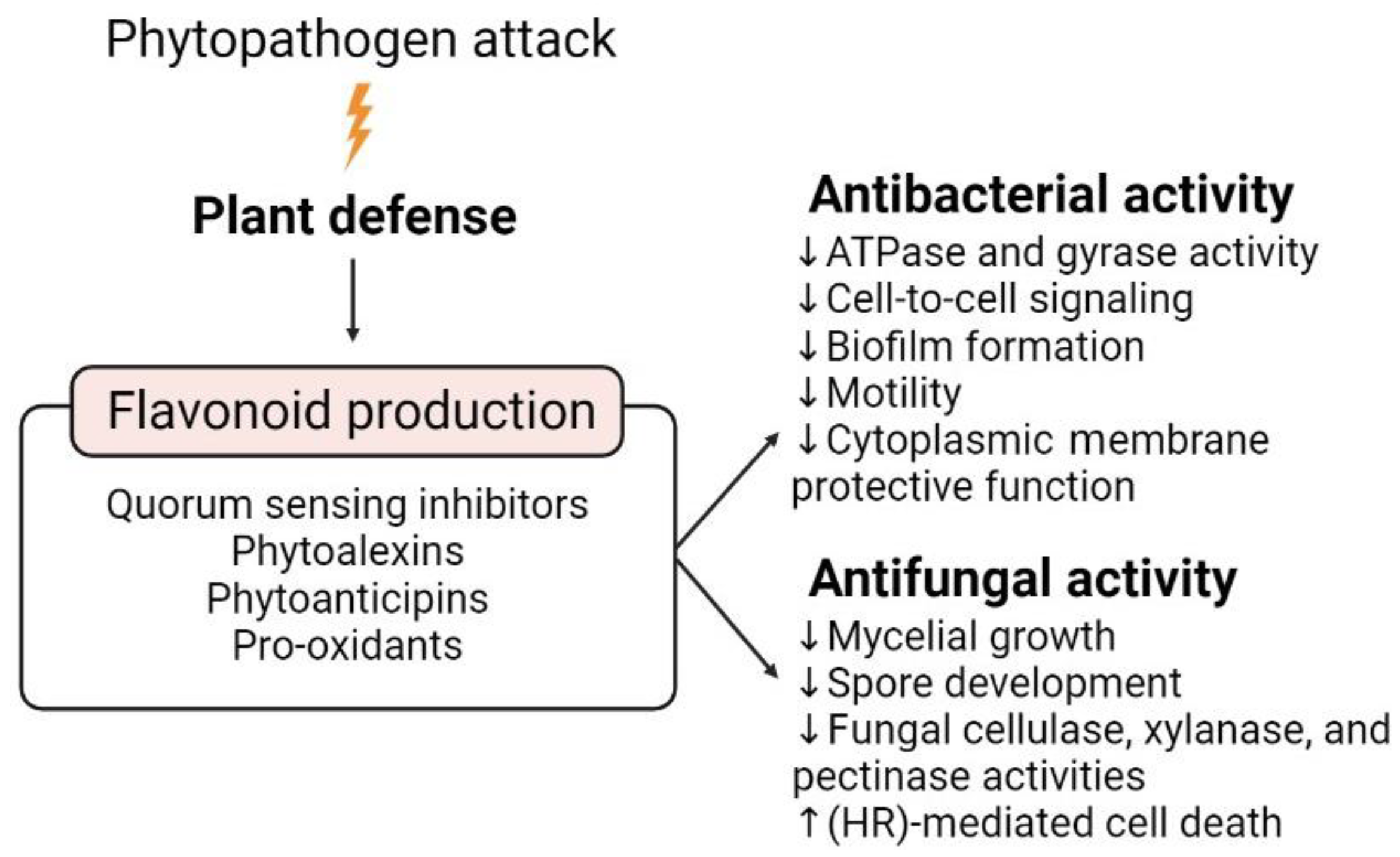 Microorganisms 10 02479 g003