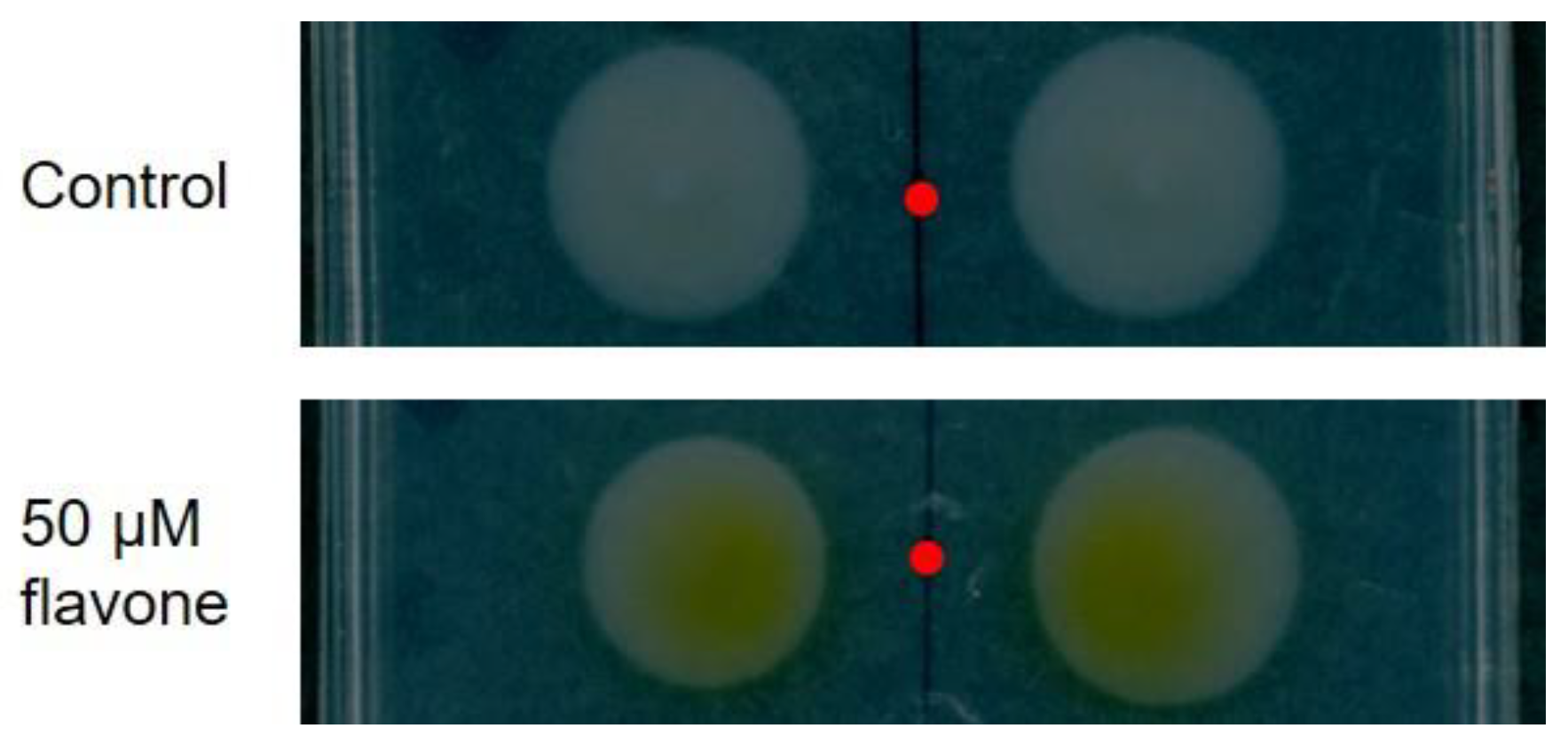 Microorganisms 10 02479 g005