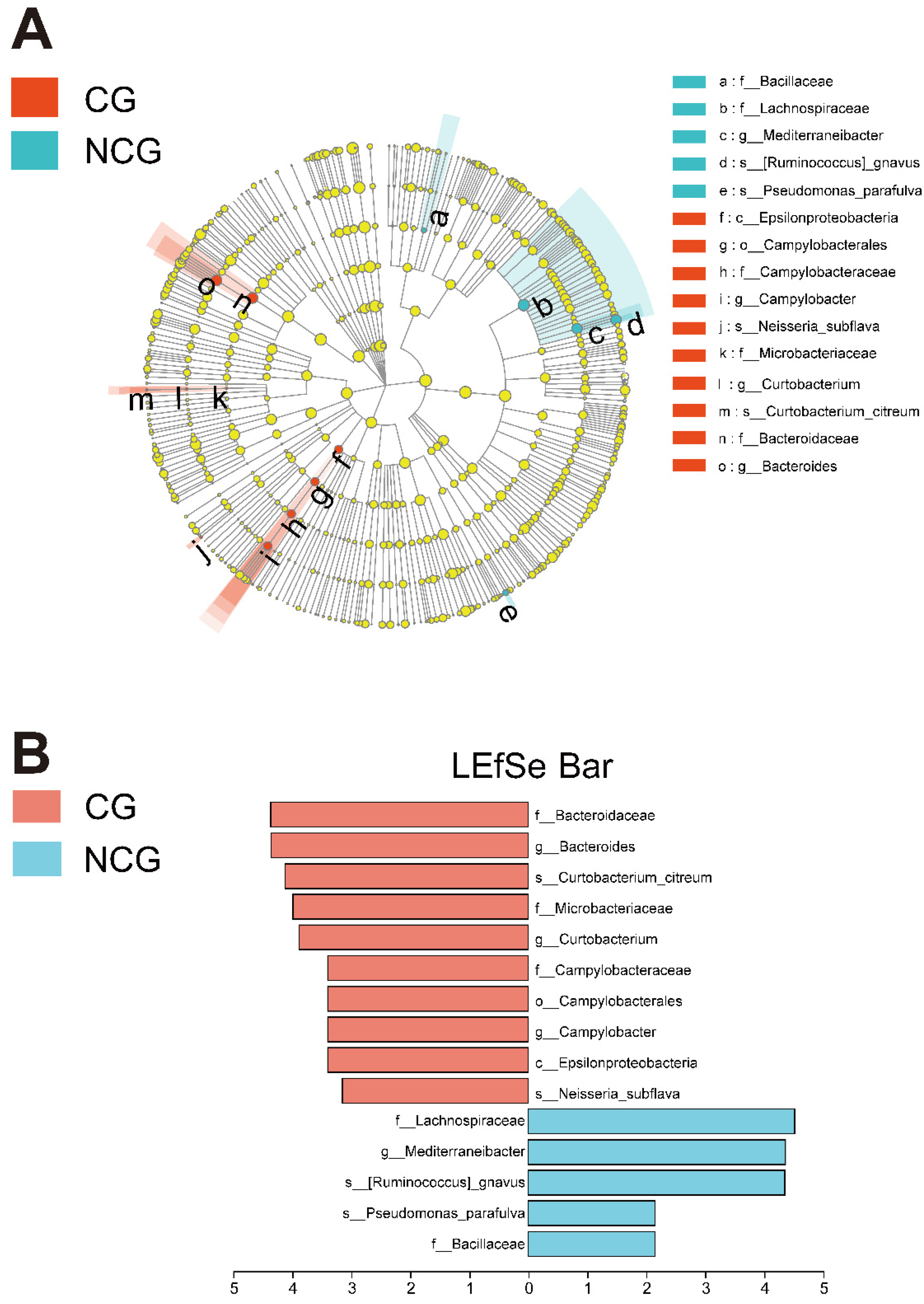 Microorganisms 10 02486 g002 Microorganisms 10 02486 g002