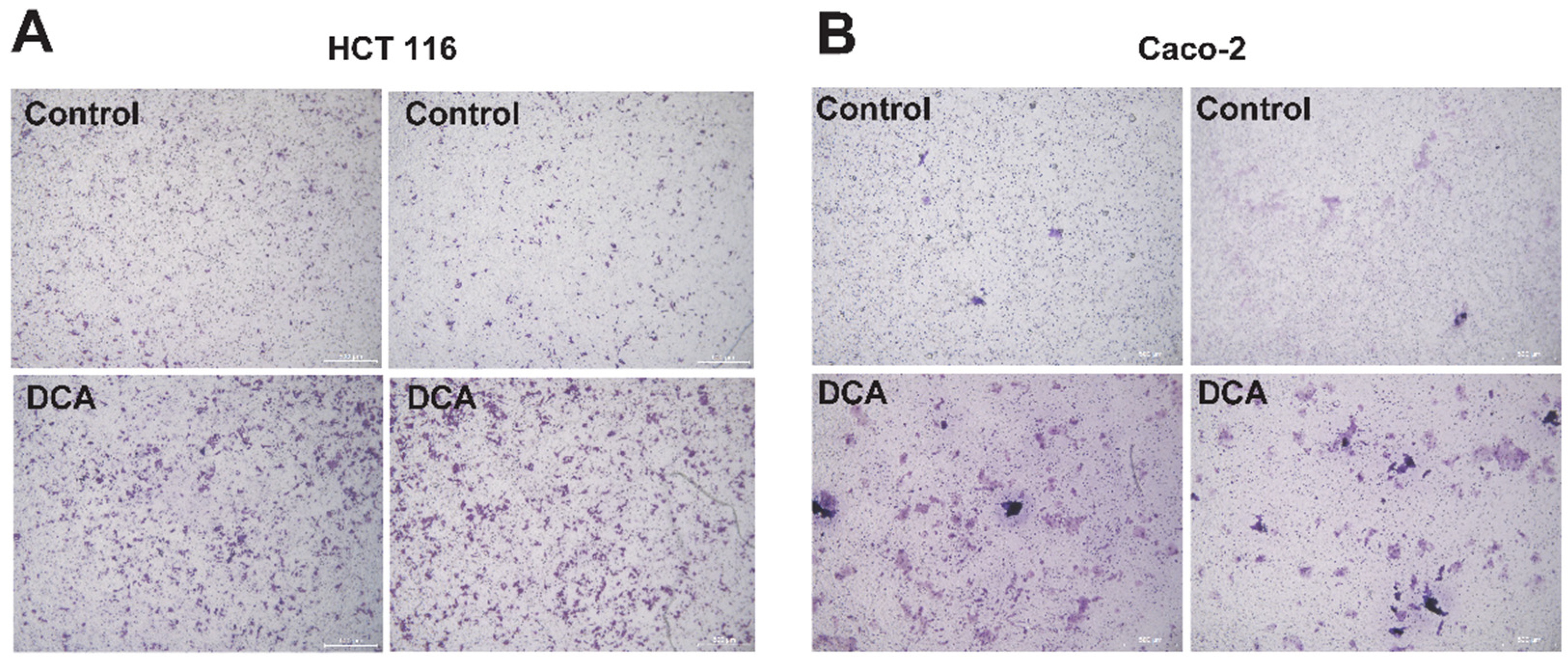 Microorganisms 10 02486 g006 Microorganisms 10 02486 g006