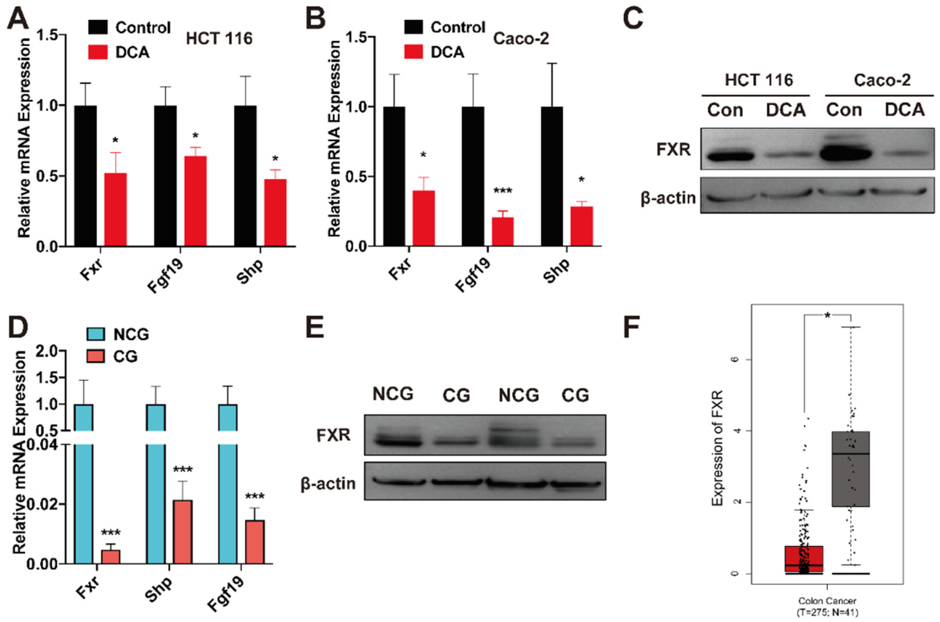 Microorganisms 10 02486 g007 Microorganisms 10 02486 g007