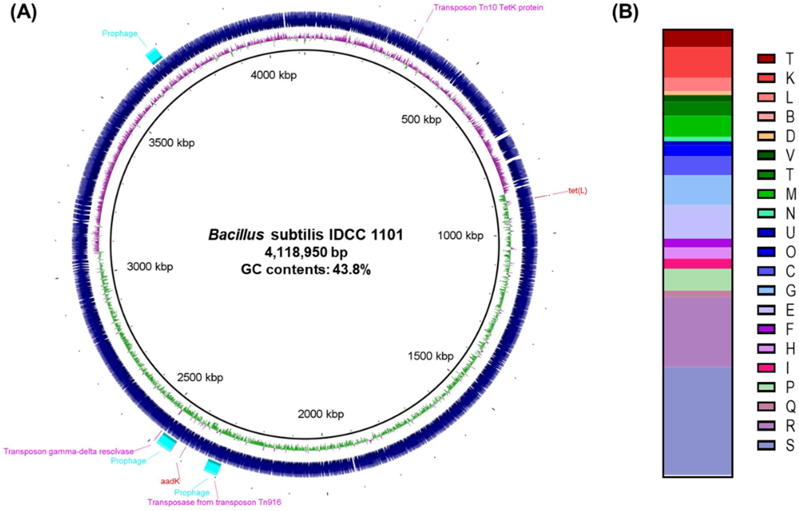 Microorganisms 10 02494 g001