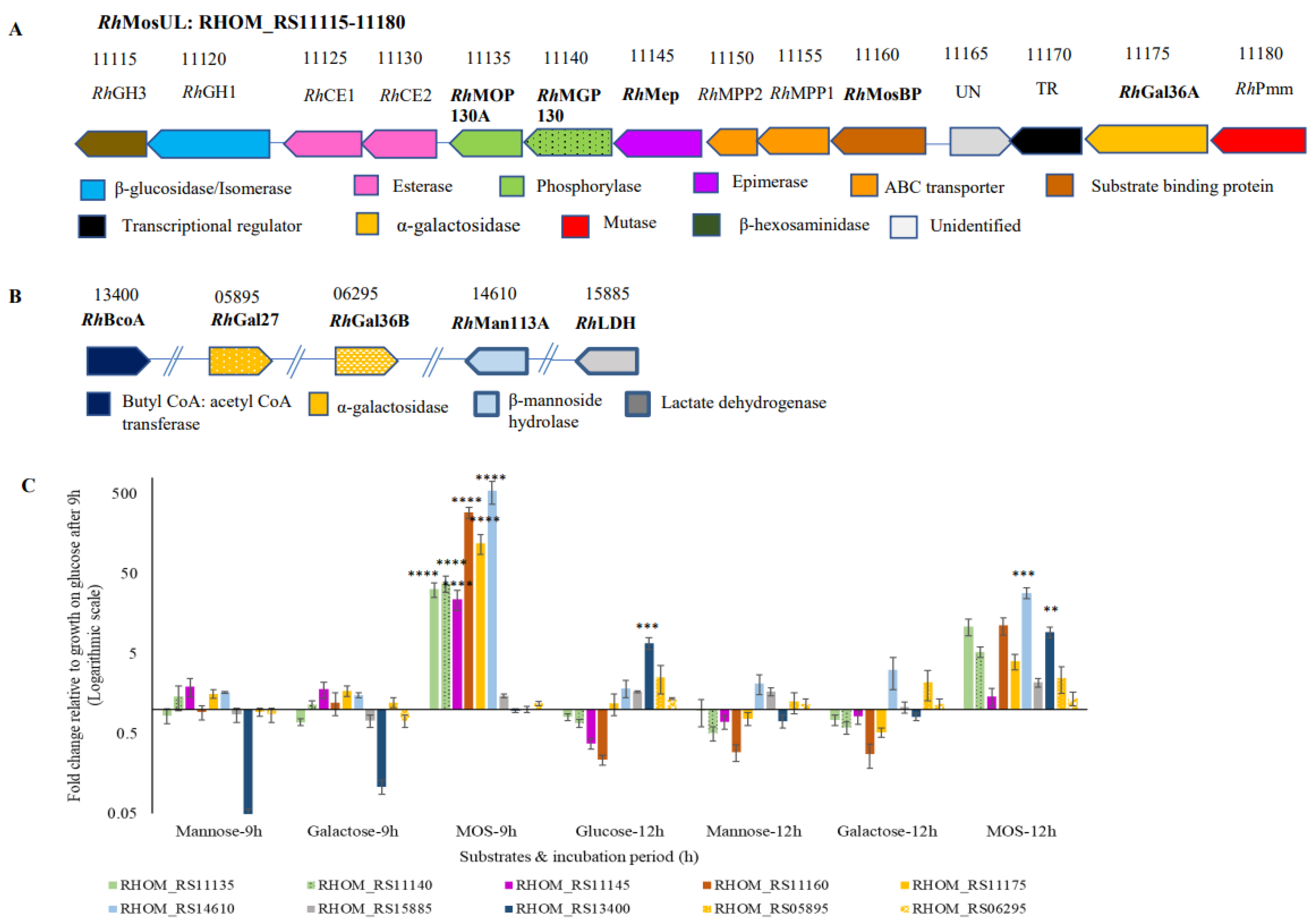 Microorganisms 10 02496 g003