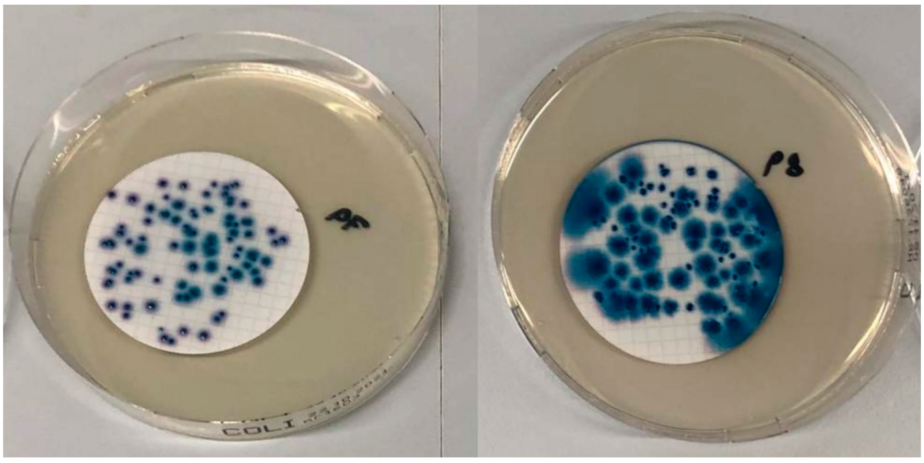 Microorganisms 10 02499 g002