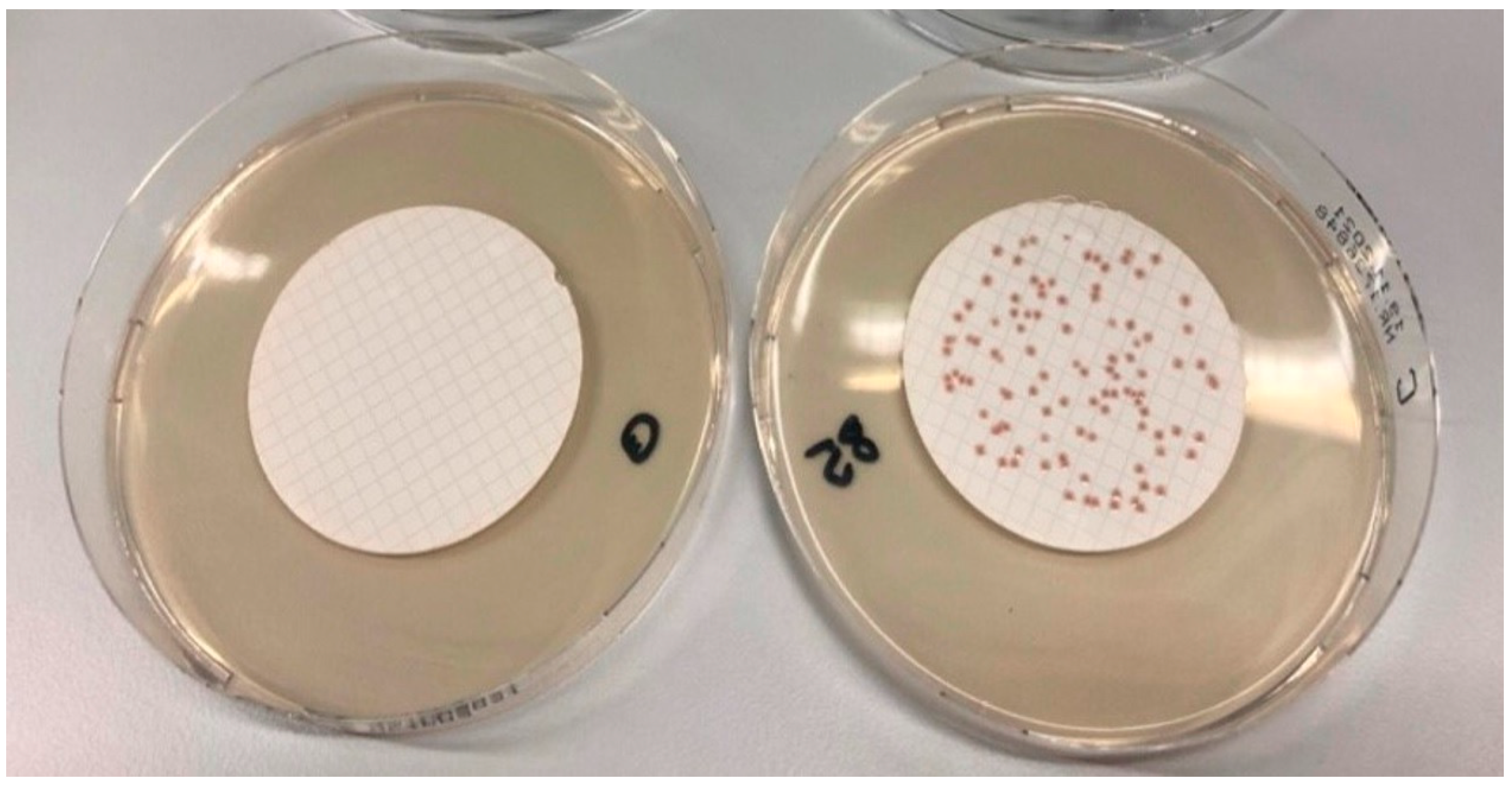 Microorganisms 10 02499 g003